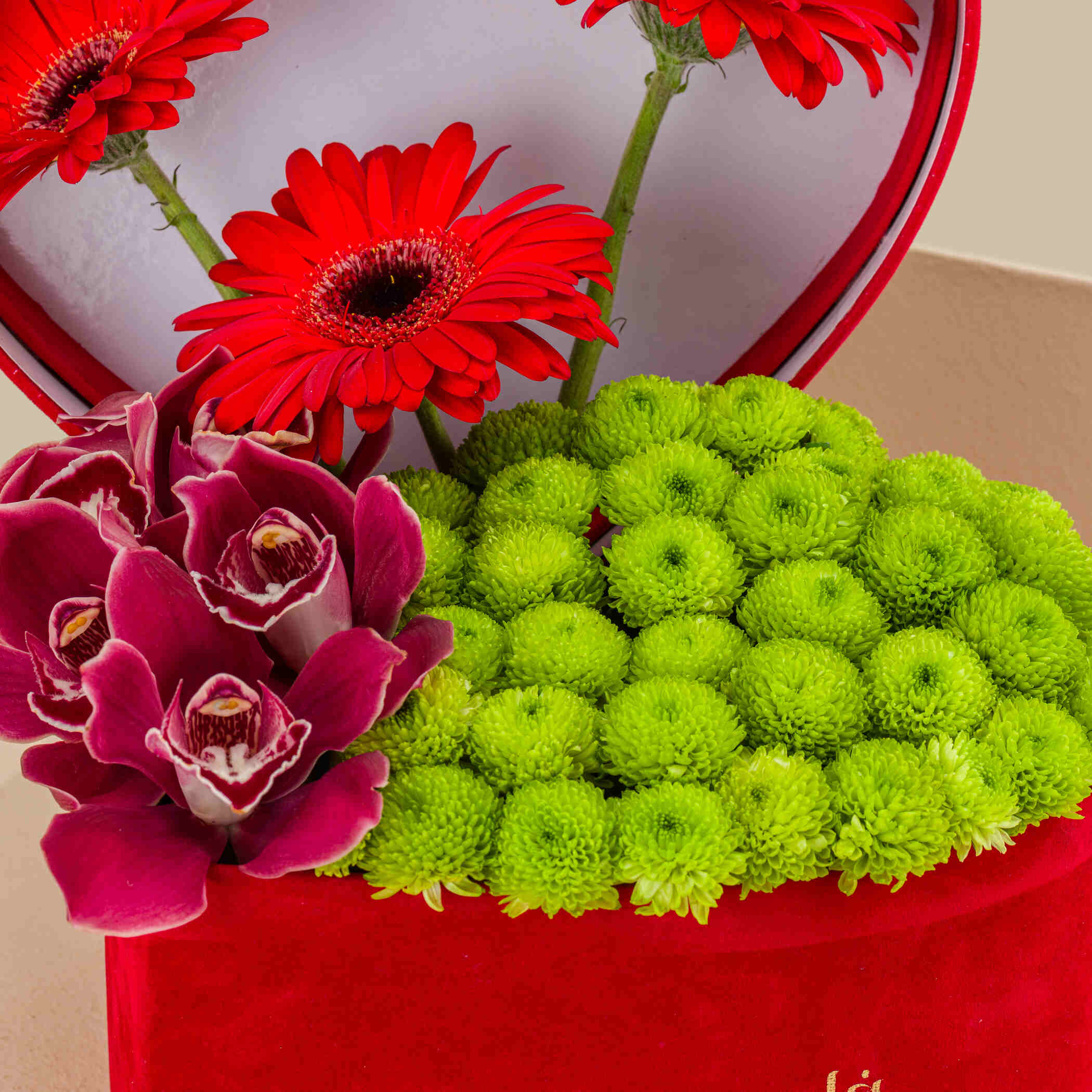Spring Essence Box Spring Essence Box
