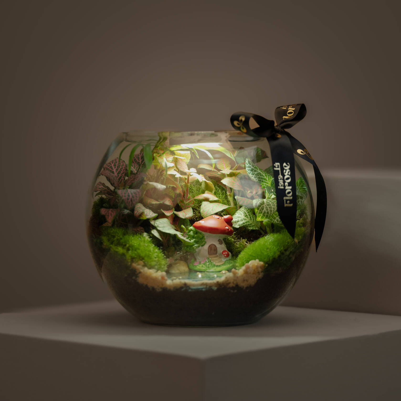 Terrarium Mushroom Garden with Light | Closed Terrarium Mushroom Garden with Light | Closed