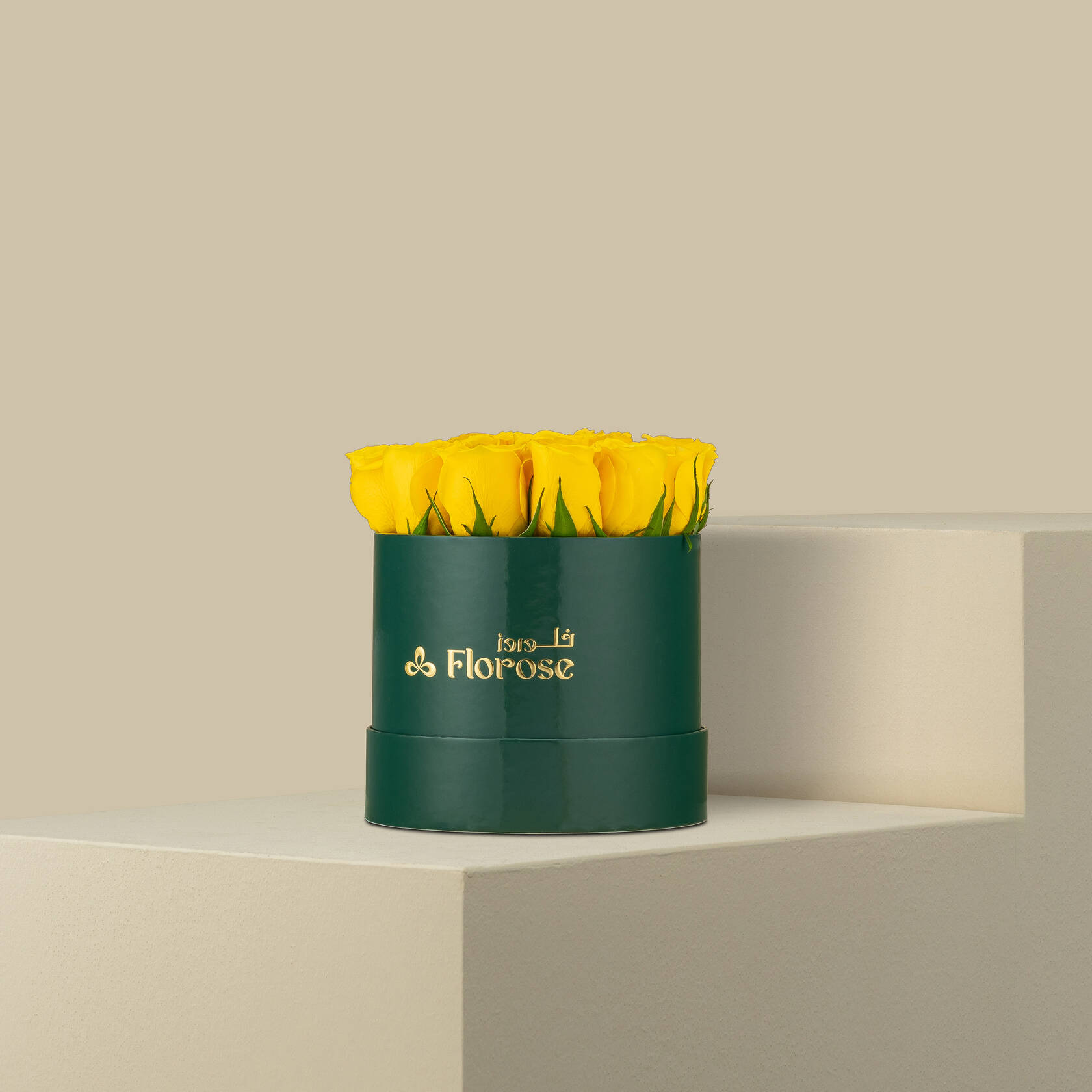 Sunshine Box Sunshine Box