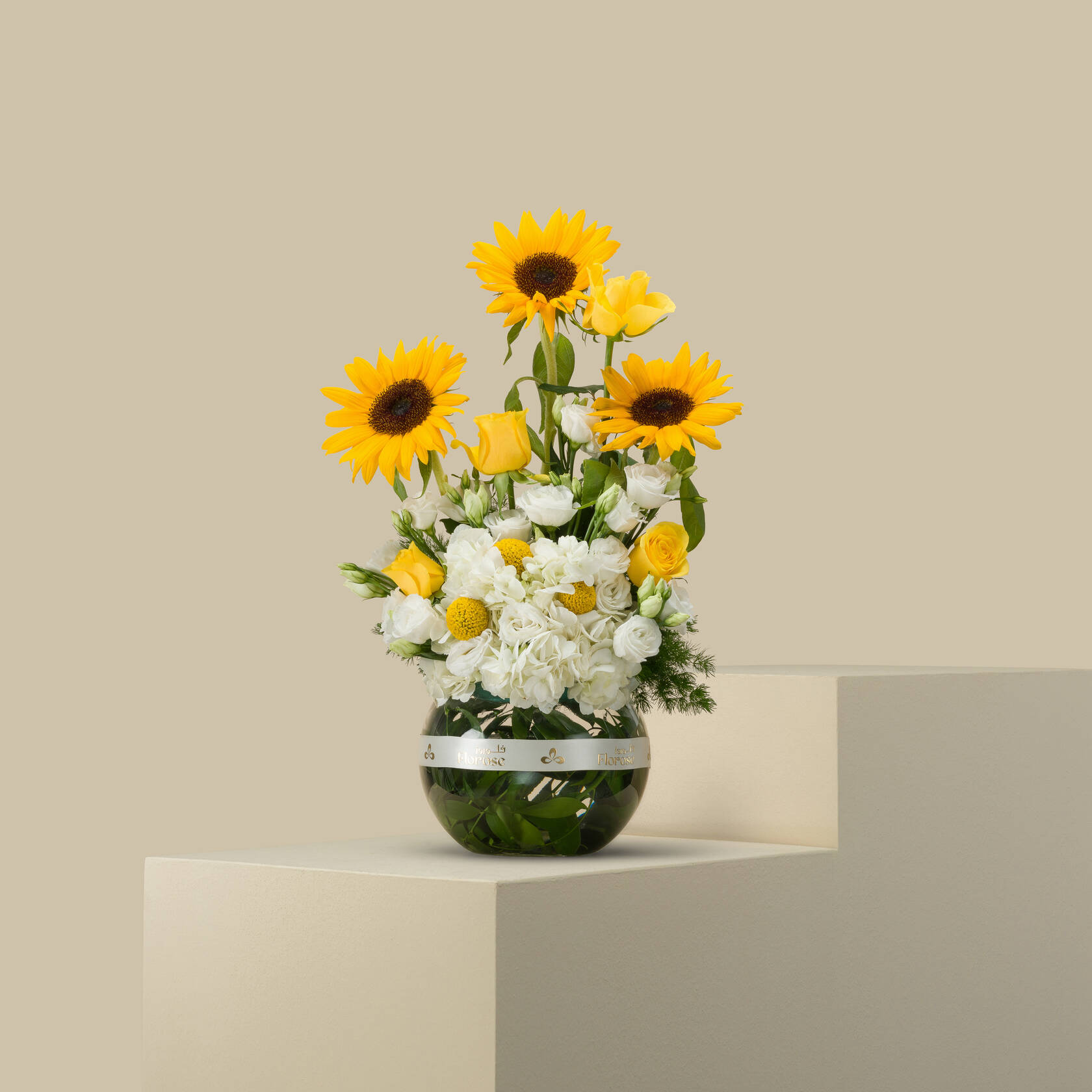Sun Winged Round Vase Sun Winged Round Vase