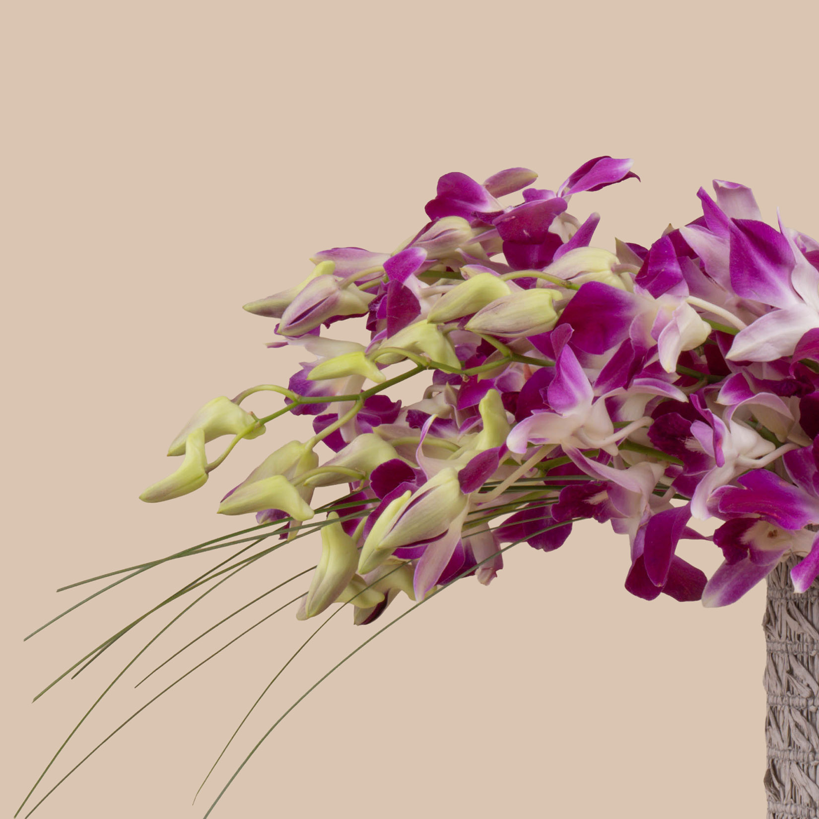 Purple Serenity Basket Purple Serenity Basket