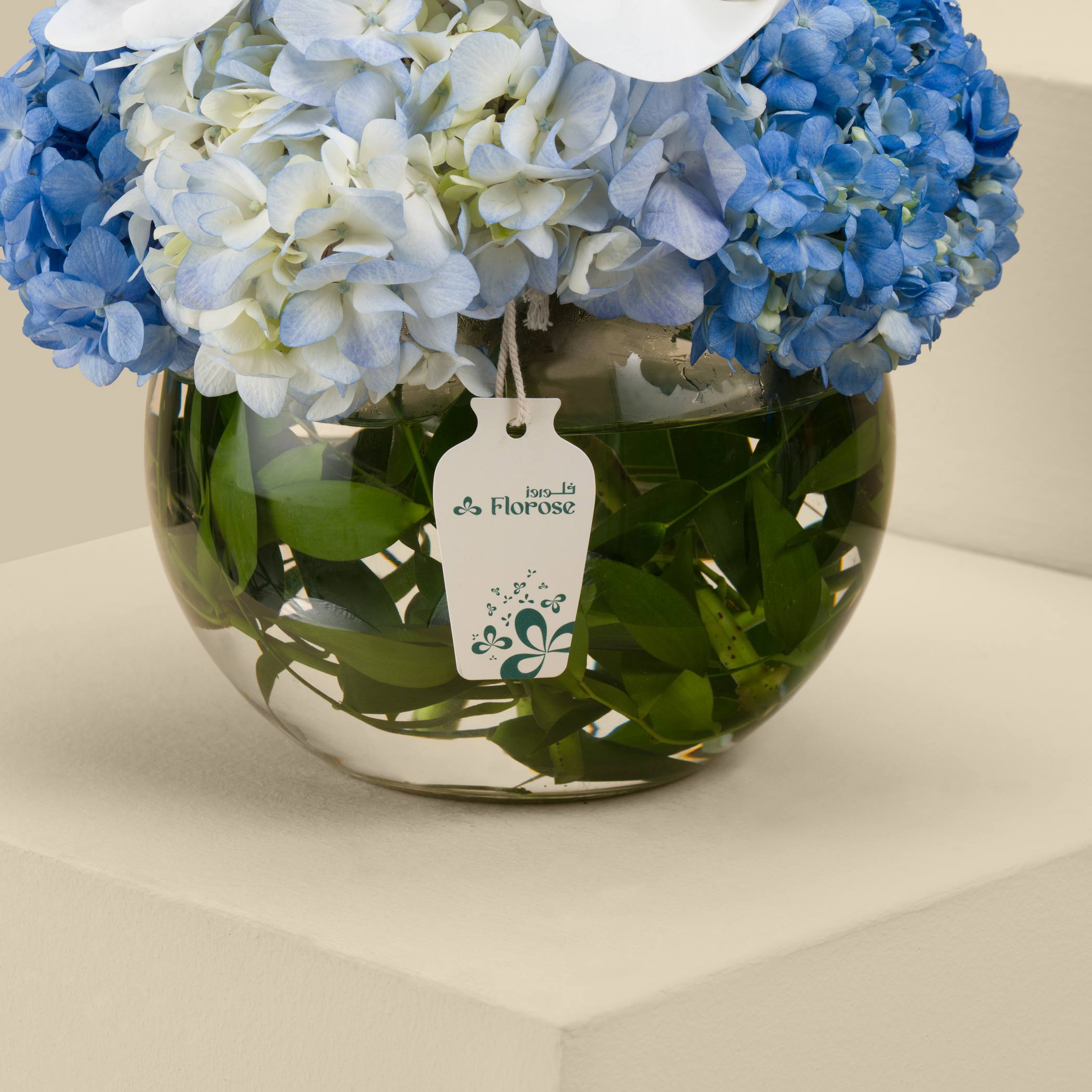 Sea Spectrum Round Vase Sea Spectrum Round Vase