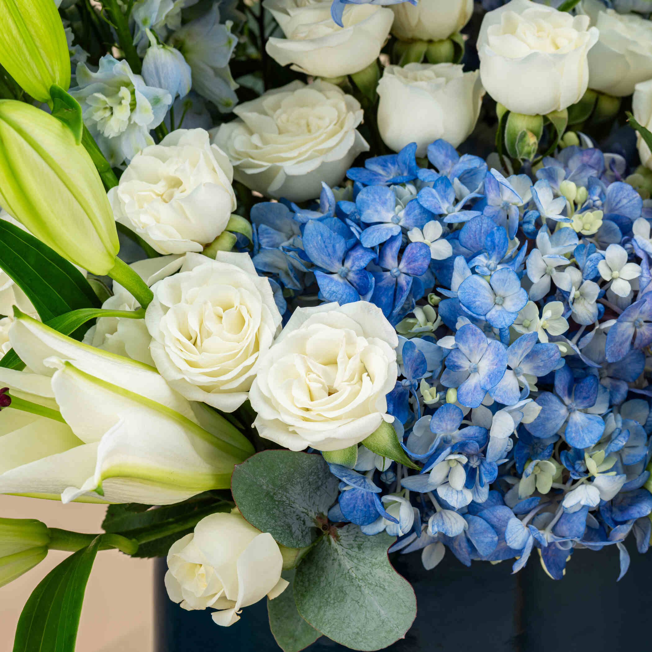 Cloud Crown Box Cloud Crown Box