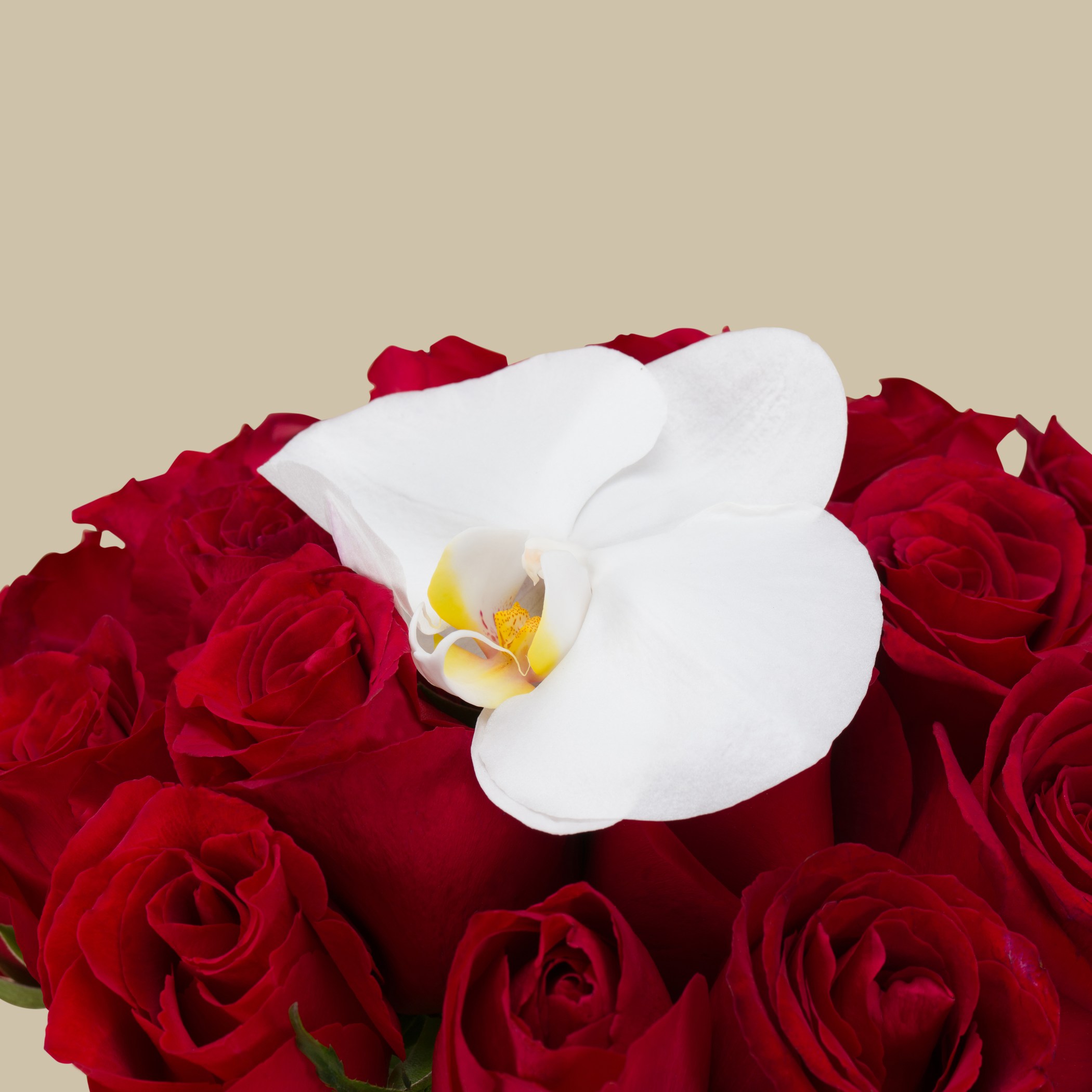 Love Breeze Round Vase Love Breeze Round Vase