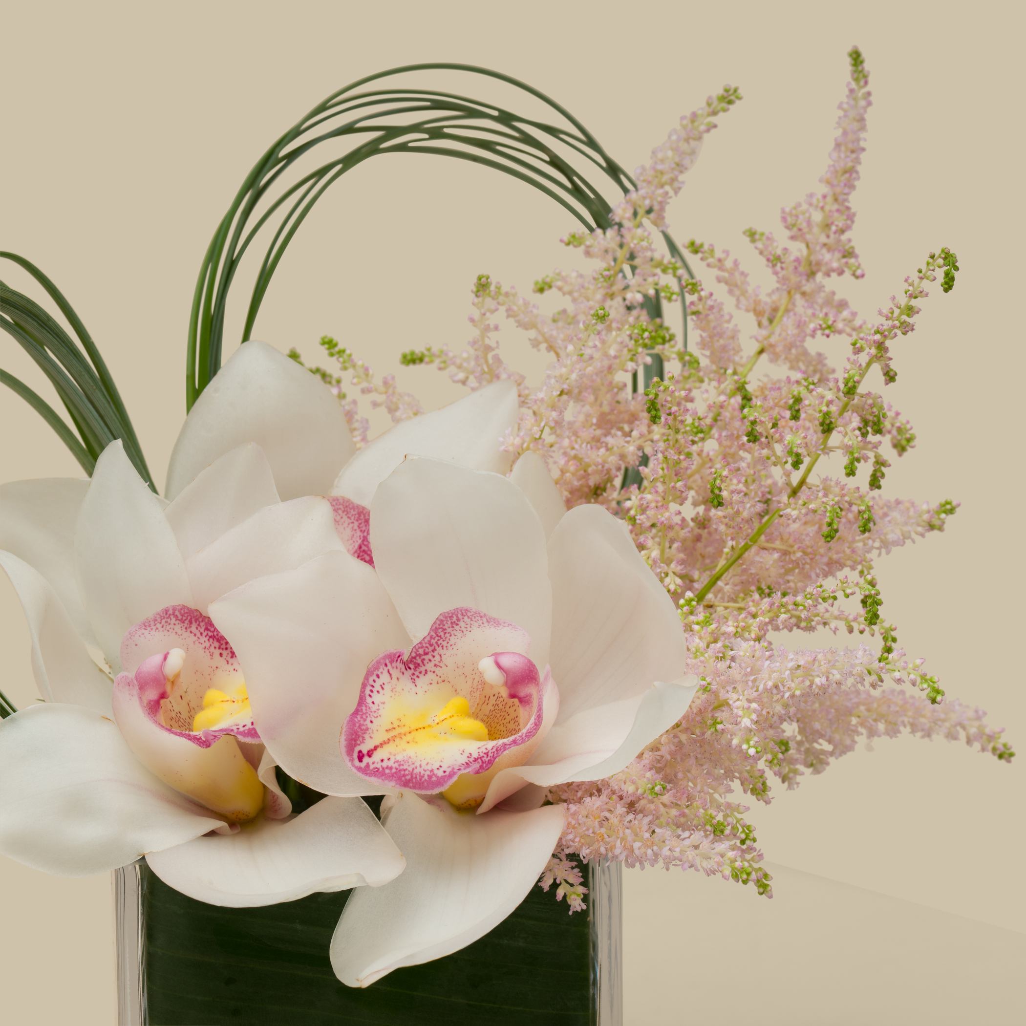 Softness Spectrum Square Vase Softness Spectrum Square Vase
