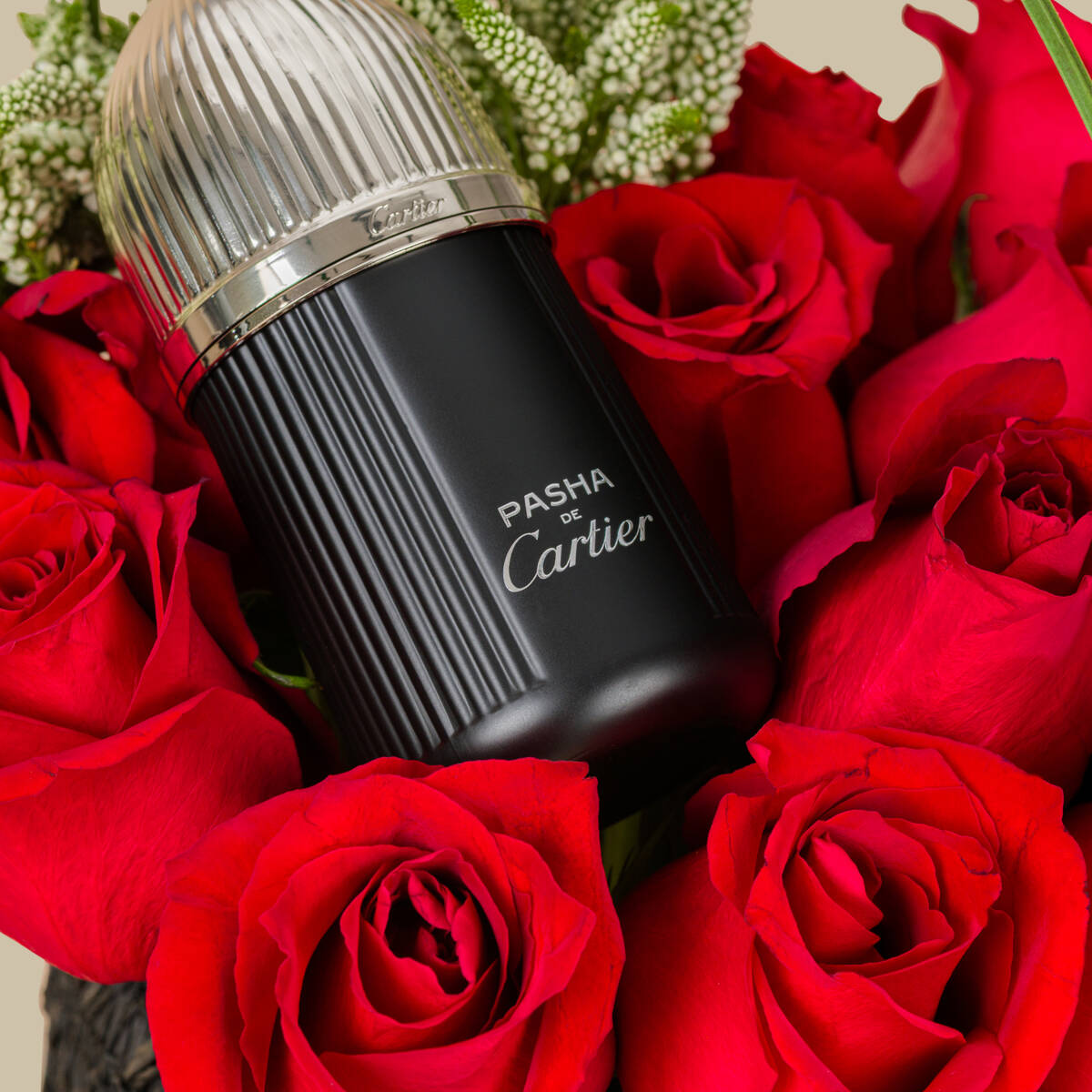 Cartier Pasha Noire EDT V2 | Purity Of Love Basket Cartier Pasha Noire EDT V2 | Purity Of Love Basket