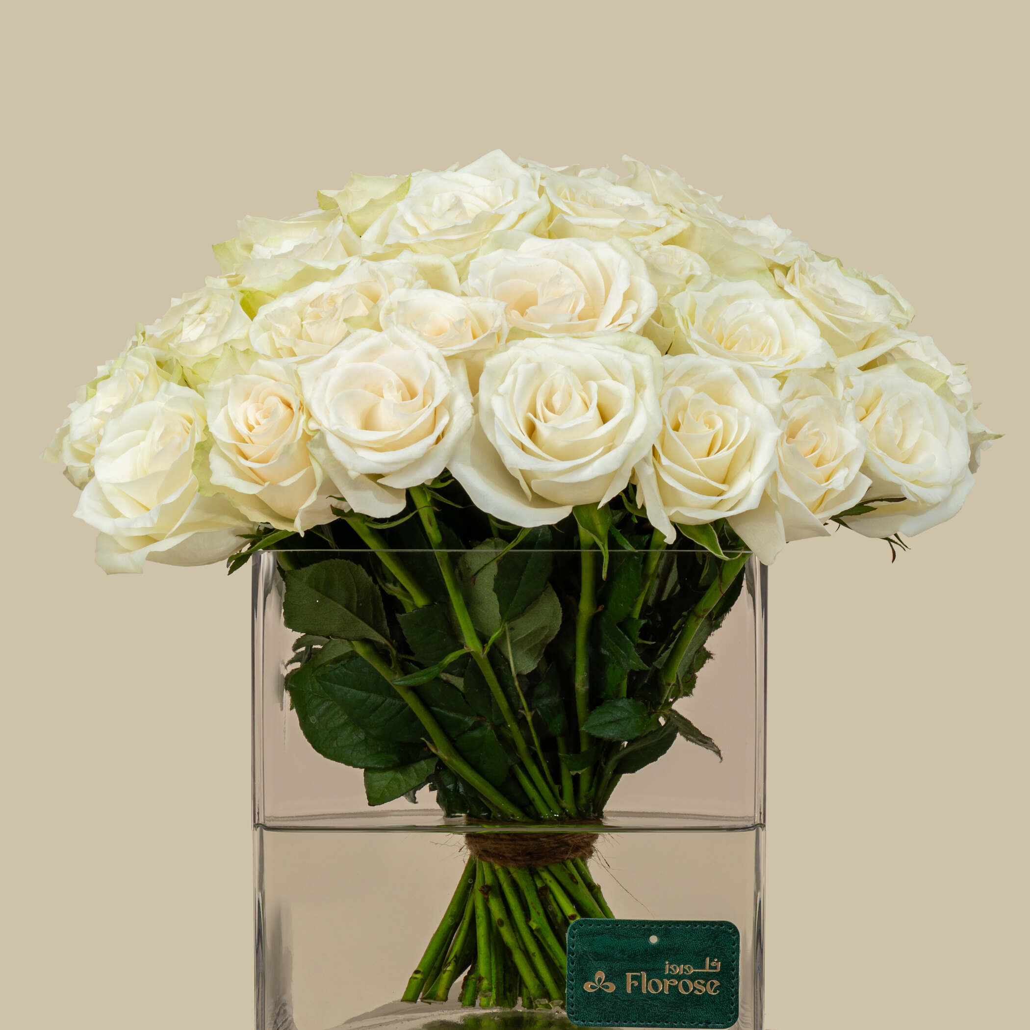 Magnificent Rose Square Vase White| 50 Flowers Magnificent Rose Square Vase White| 50 Flowers
