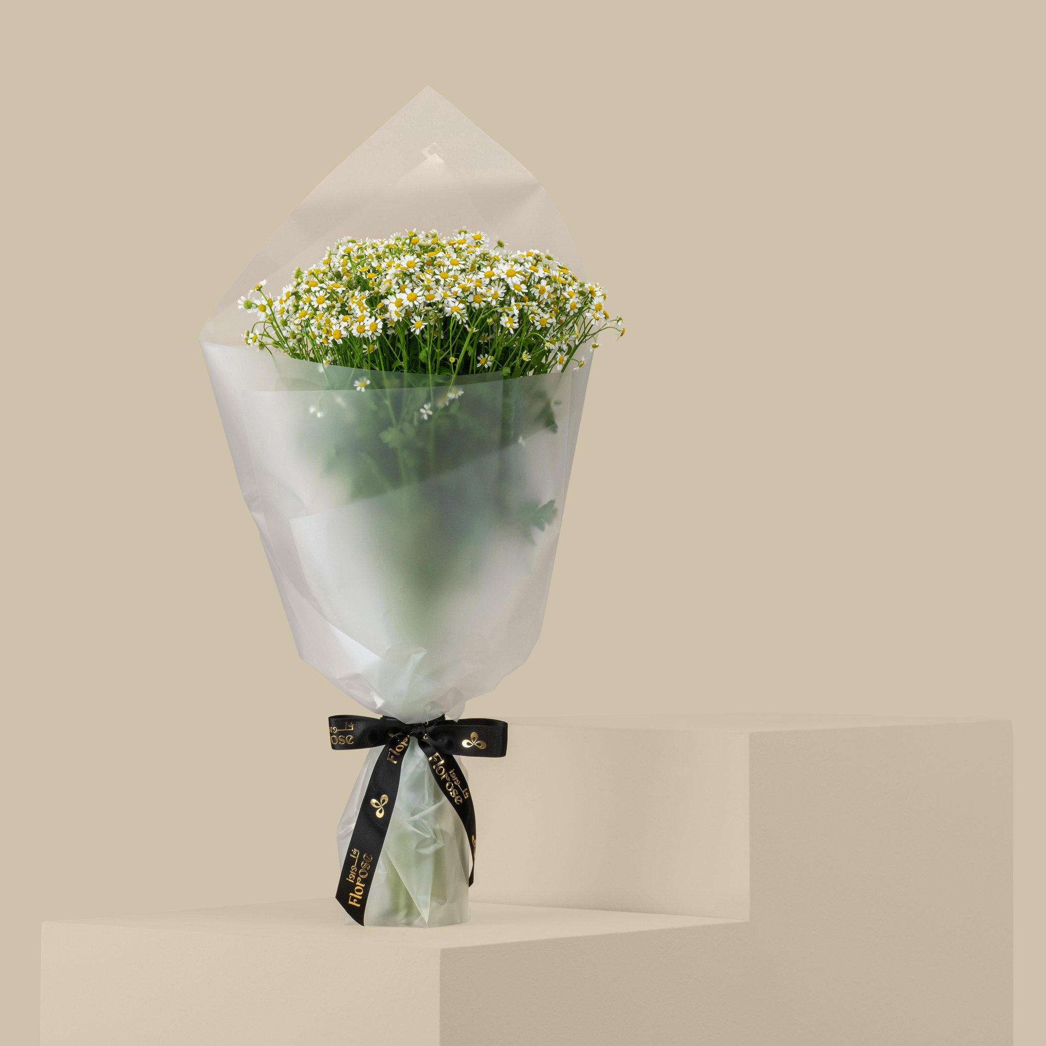 Tanacetum Bouquet Tanacetum Bouquet
