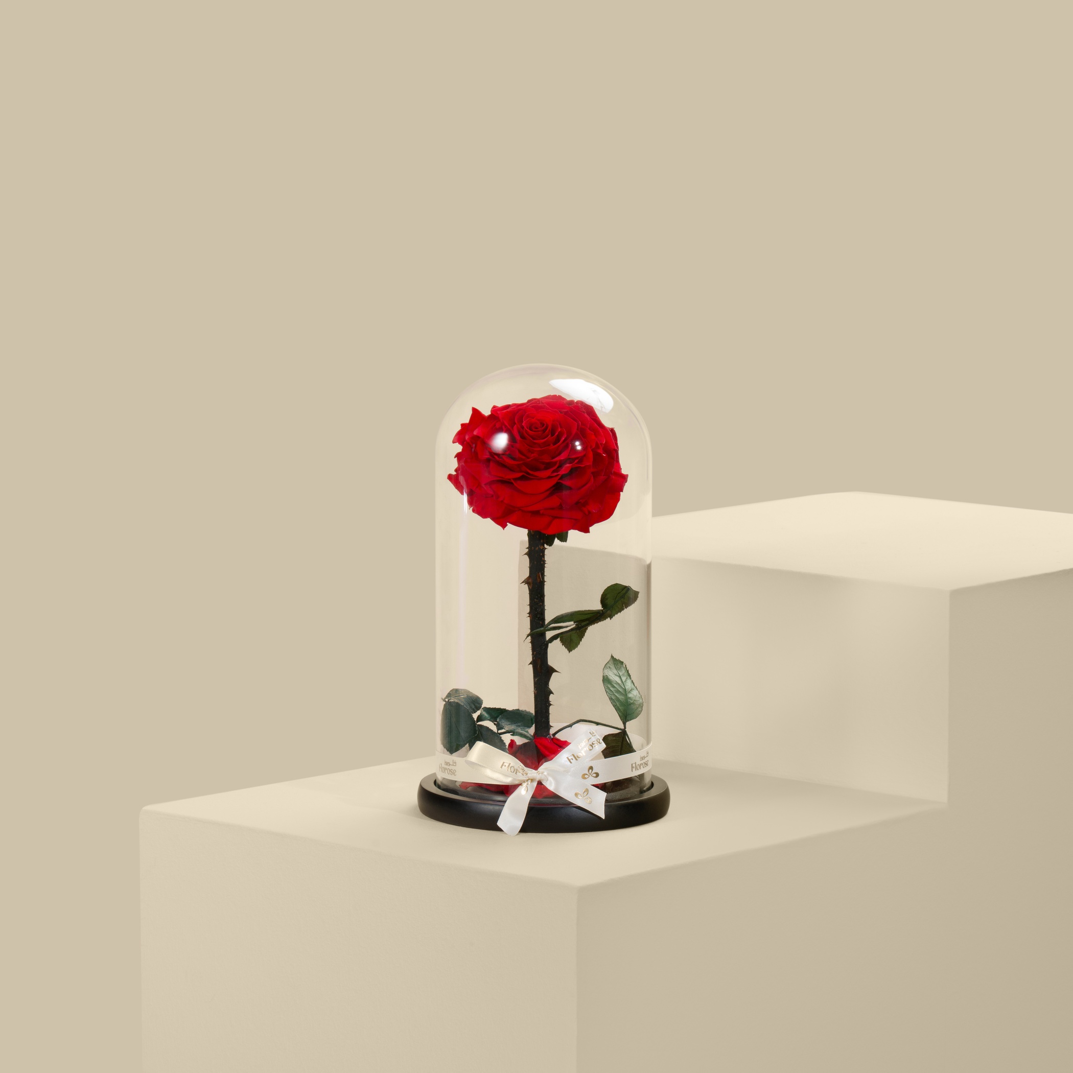 وردة دائمة حمراء وردة دائمة حمراء