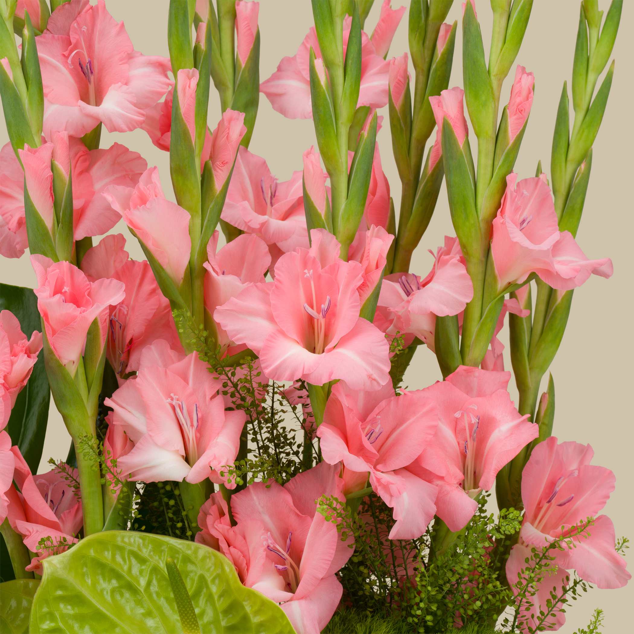 Peach Essence Round Vase Peach Essence Round Vase