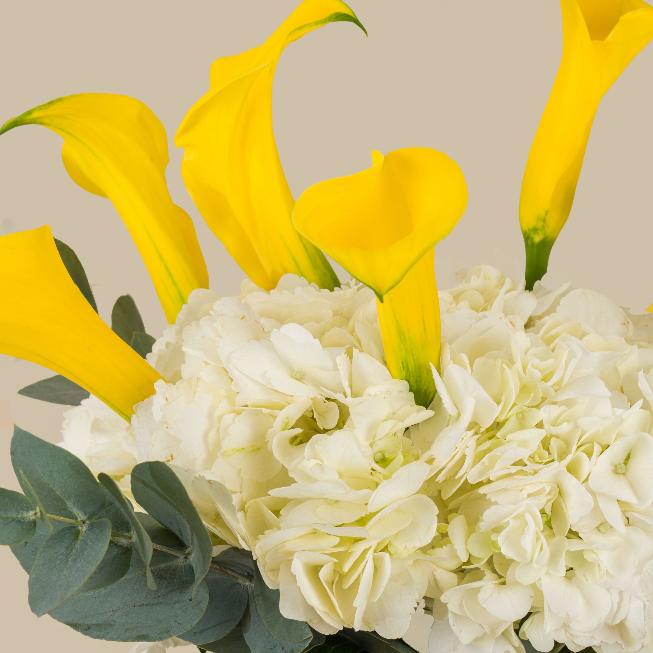 Bright Blossom Premium Vase Bright Blossom Premium Vase