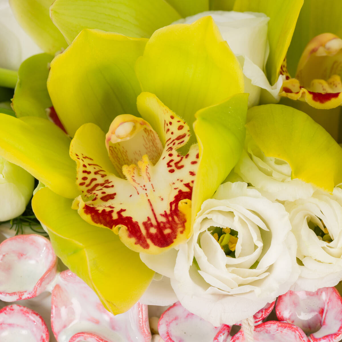 Royal Elixir Premium Vase Royal Elixir Premium Vase
