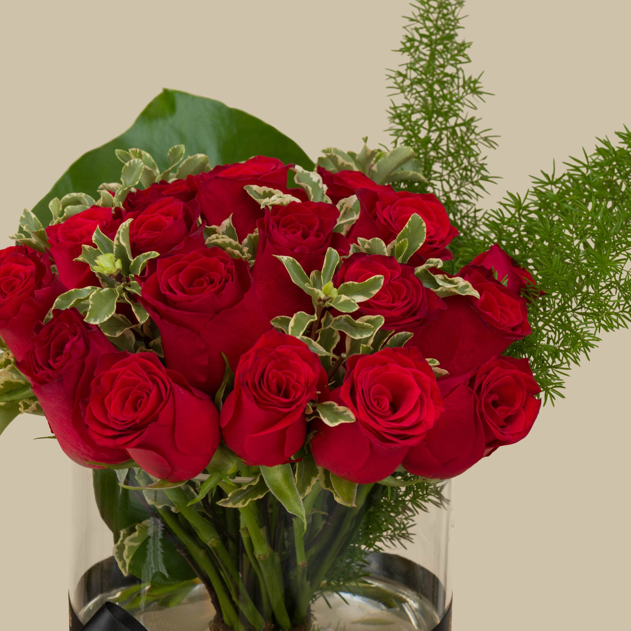 مزهرية الروعة القرمزية مزهرية الروعة القرمزية