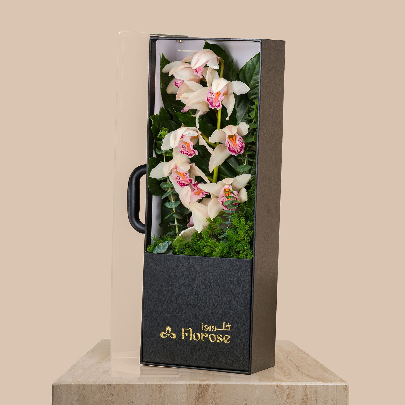 Charming Cymbidium Box Charming Cymbidium Box