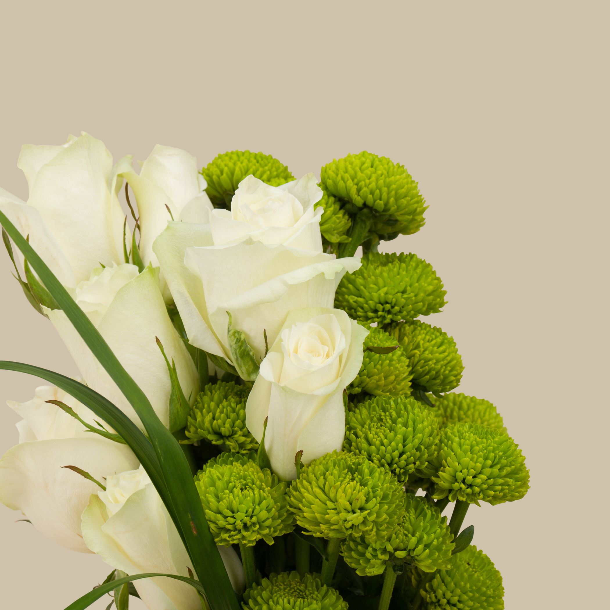 Chocolate Patchi Round | Vanilla Vase Chocolate Patchi Round | Vanilla Vase