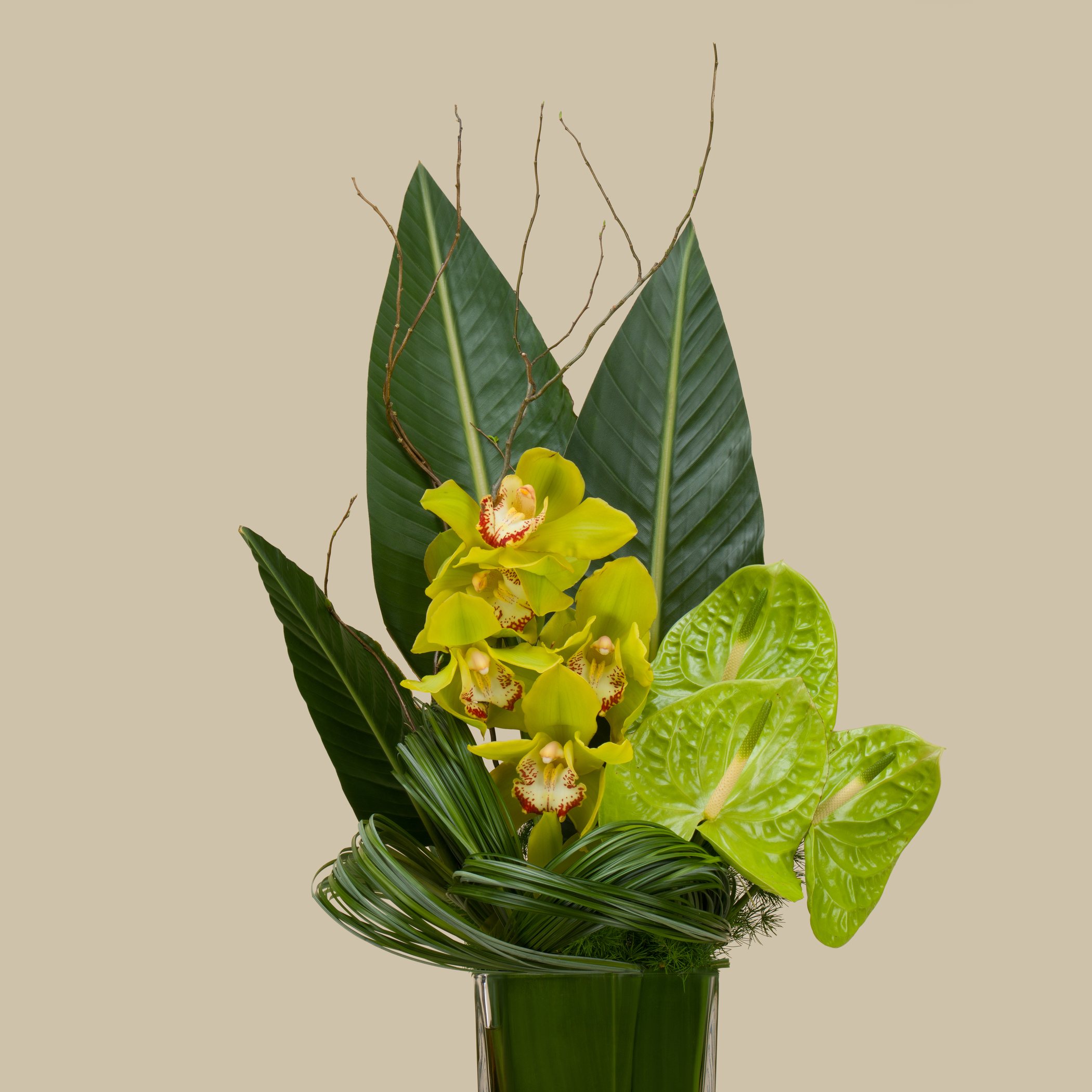 Rising Hope Square Vase Rising Hope Square Vase