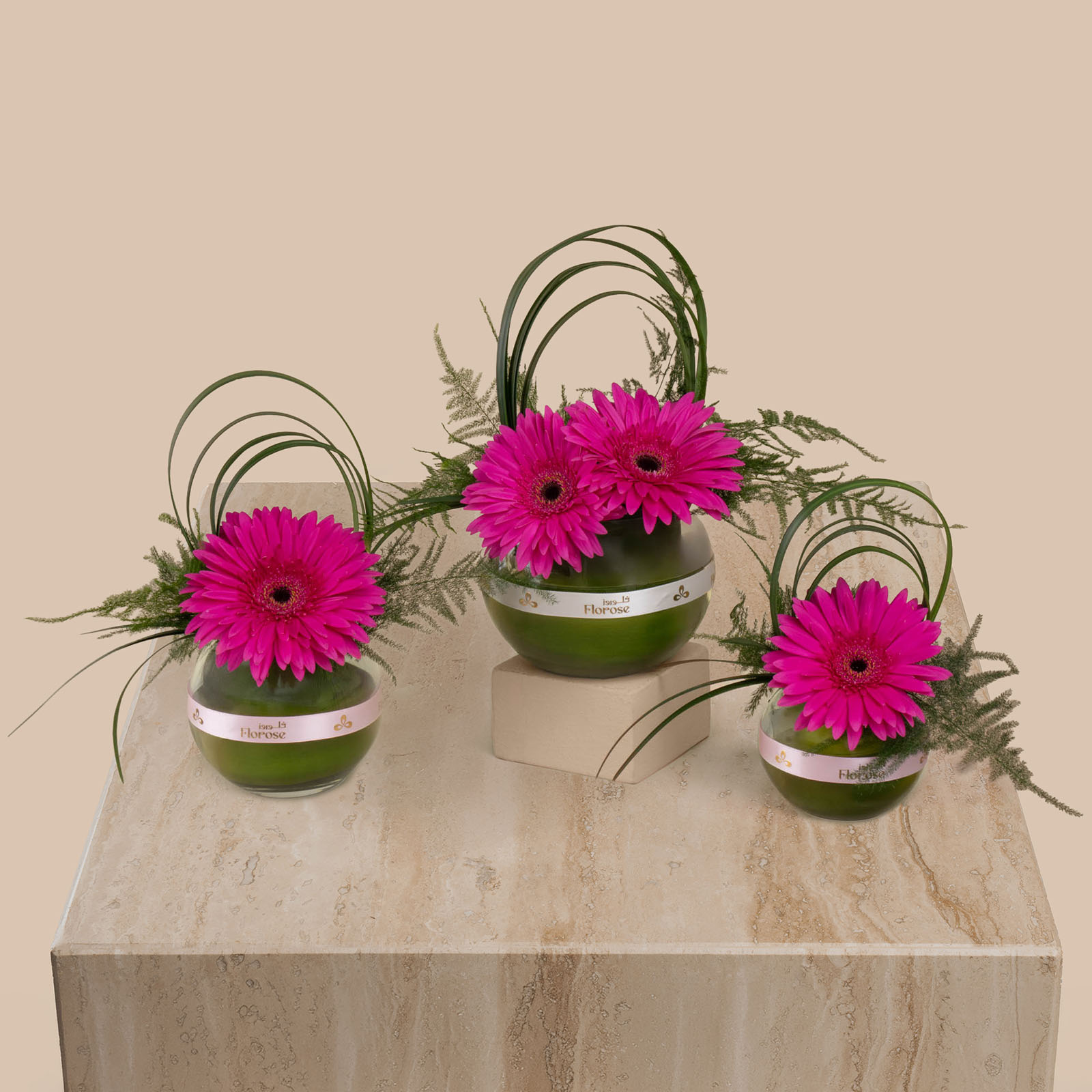 Fuchsia Gerbera Vases Fuchsia Gerbera Vases