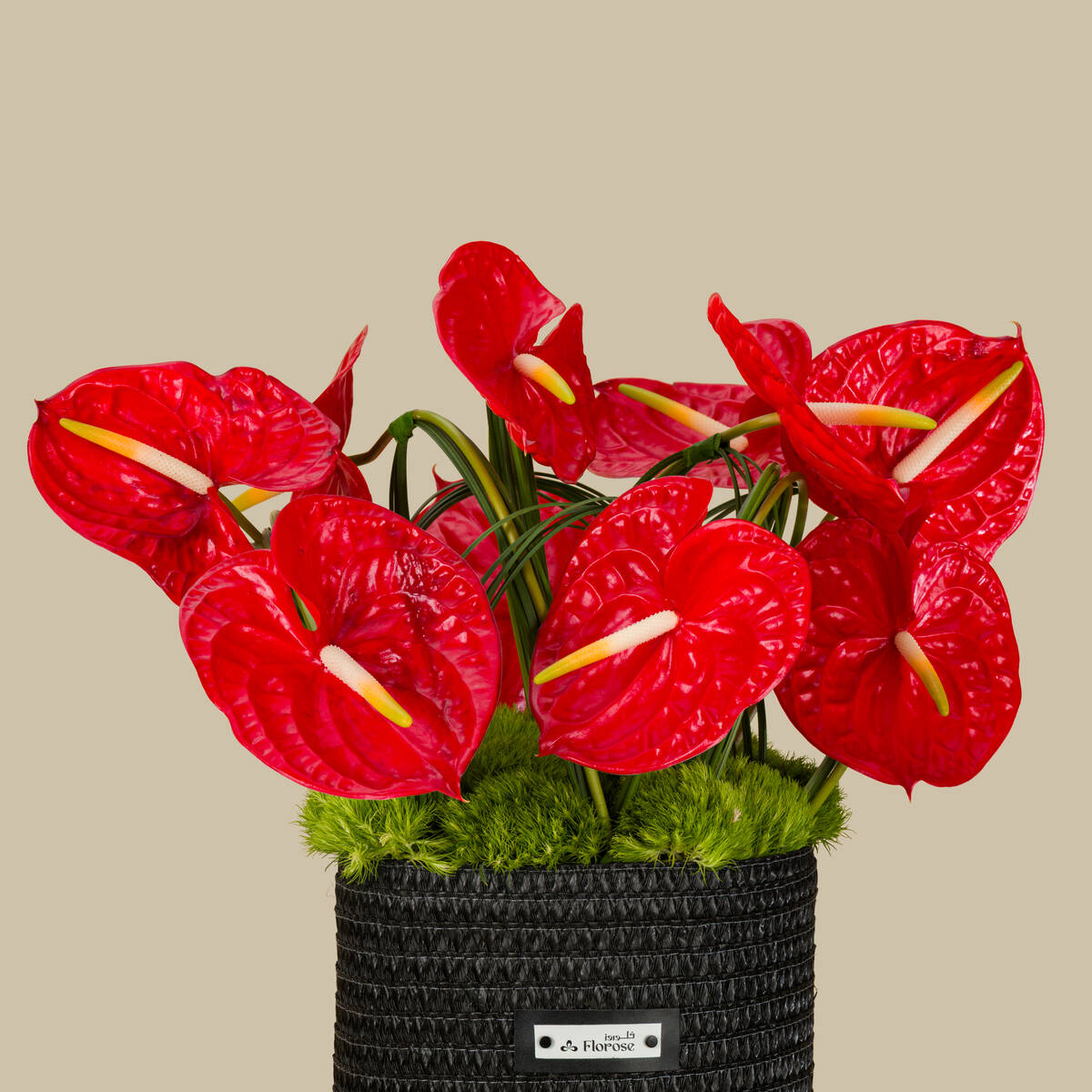 Red Sapphire Basket Red Sapphire Basket