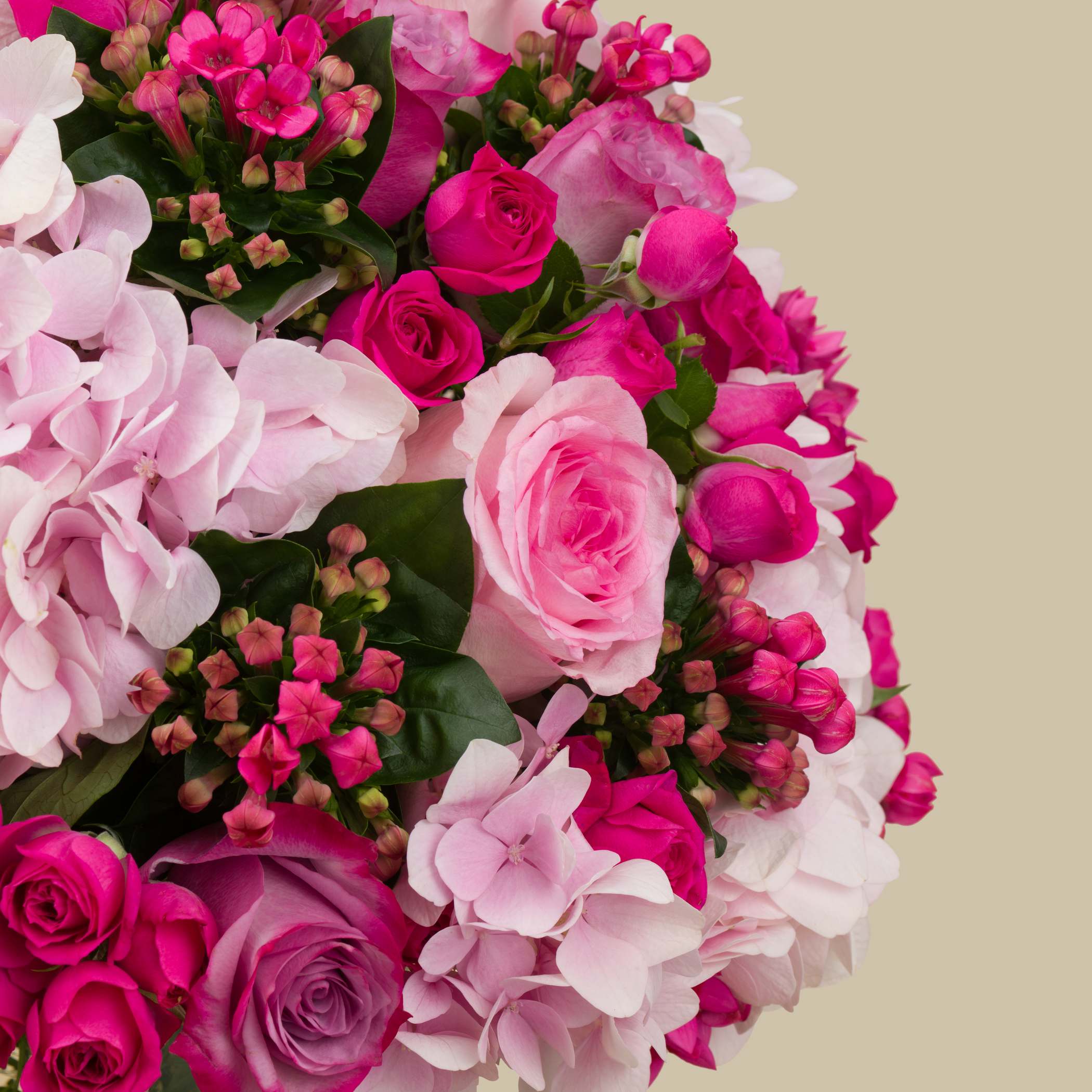 Pink Spring Vase Pink Spring Vase