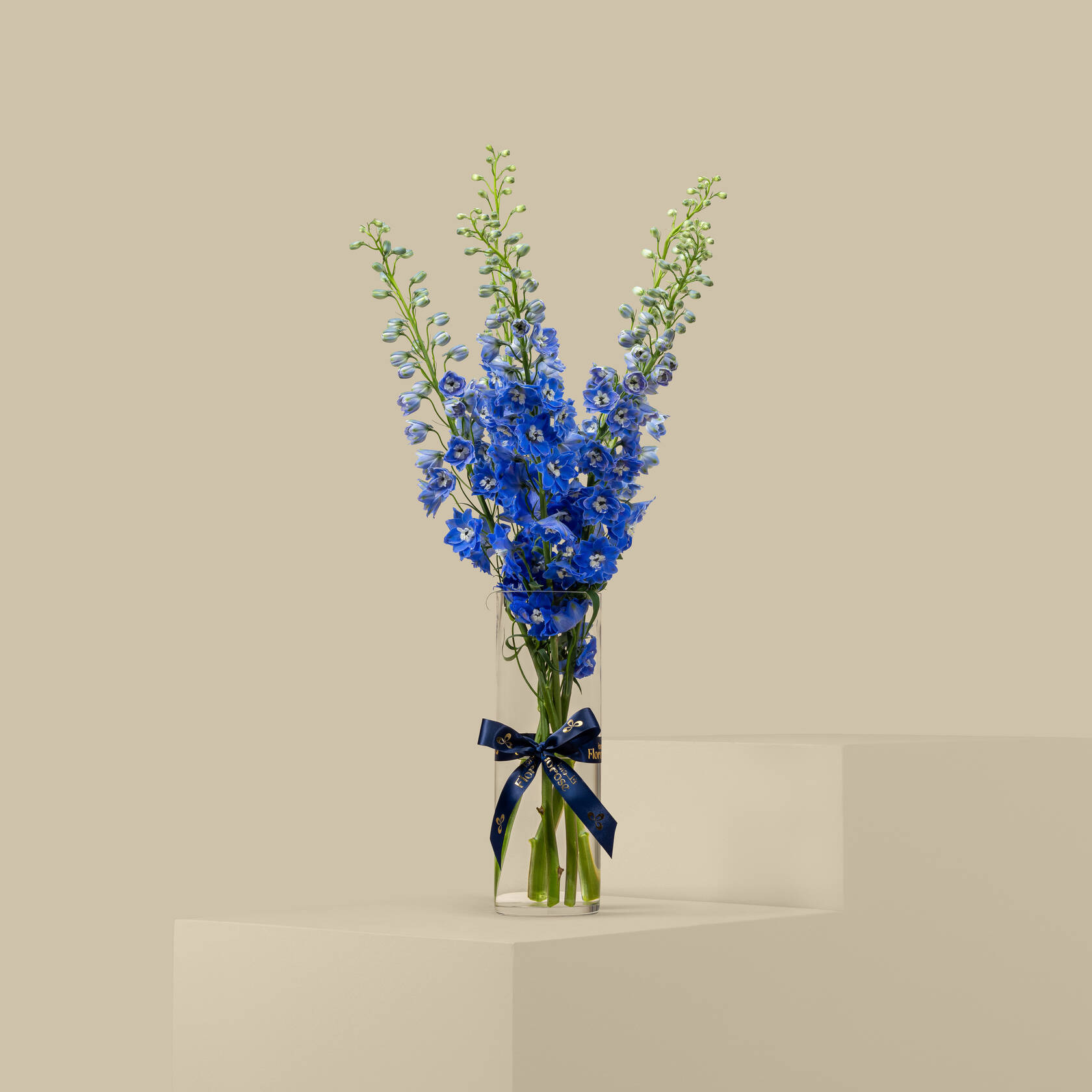 Dark Blue Delphinium Vase Dark Blue Delphinium Vase