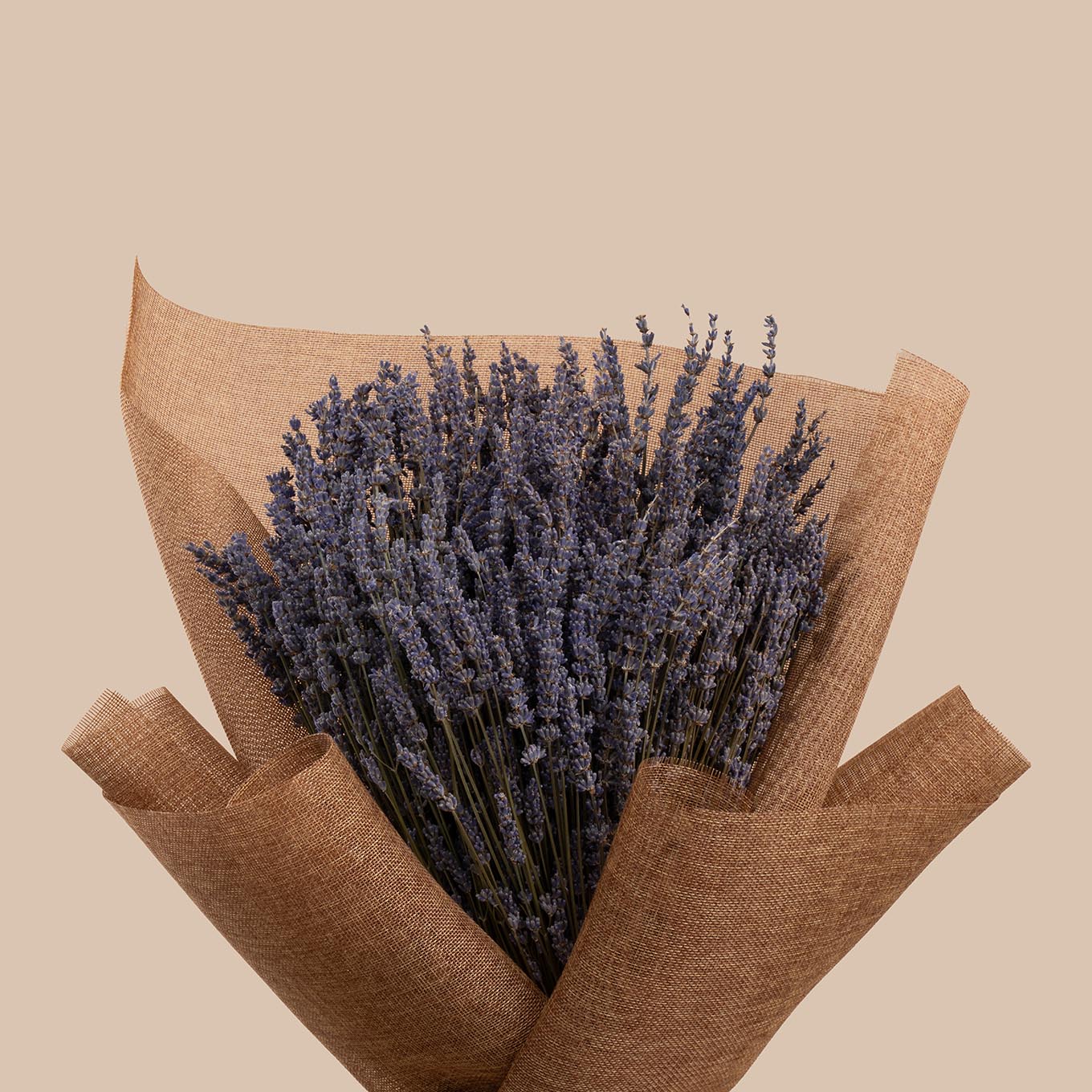 Preserved Lavender | Purple Devotion Bouquet Preserved Lavender | Purple Devotion Bouquet
