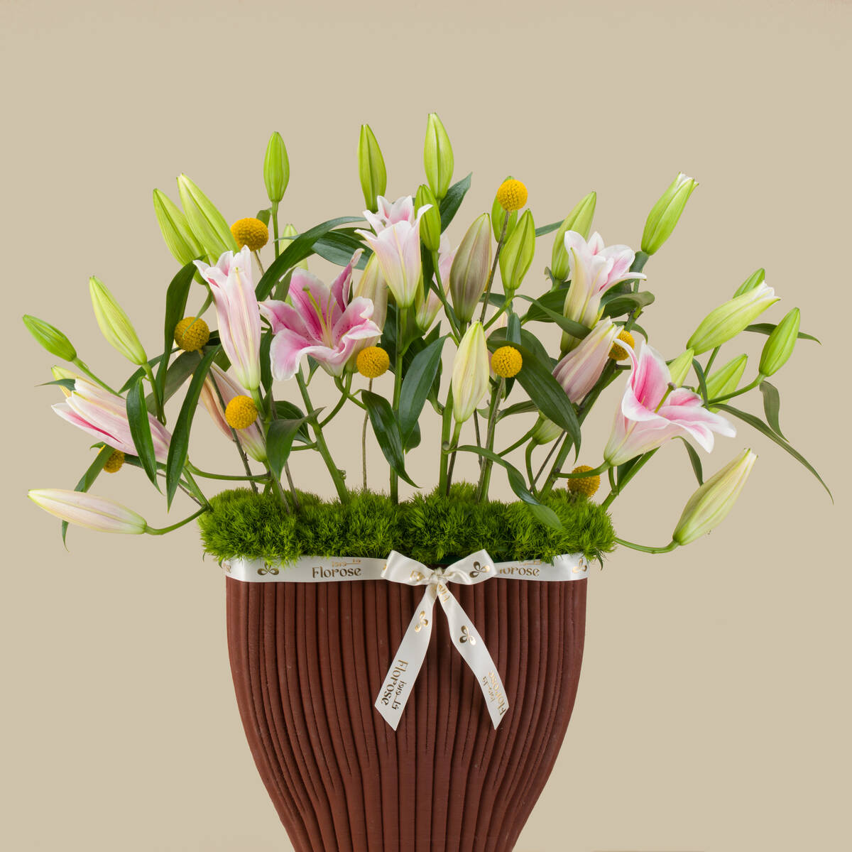 Delicate Premium Vase Delicate Premium Vase