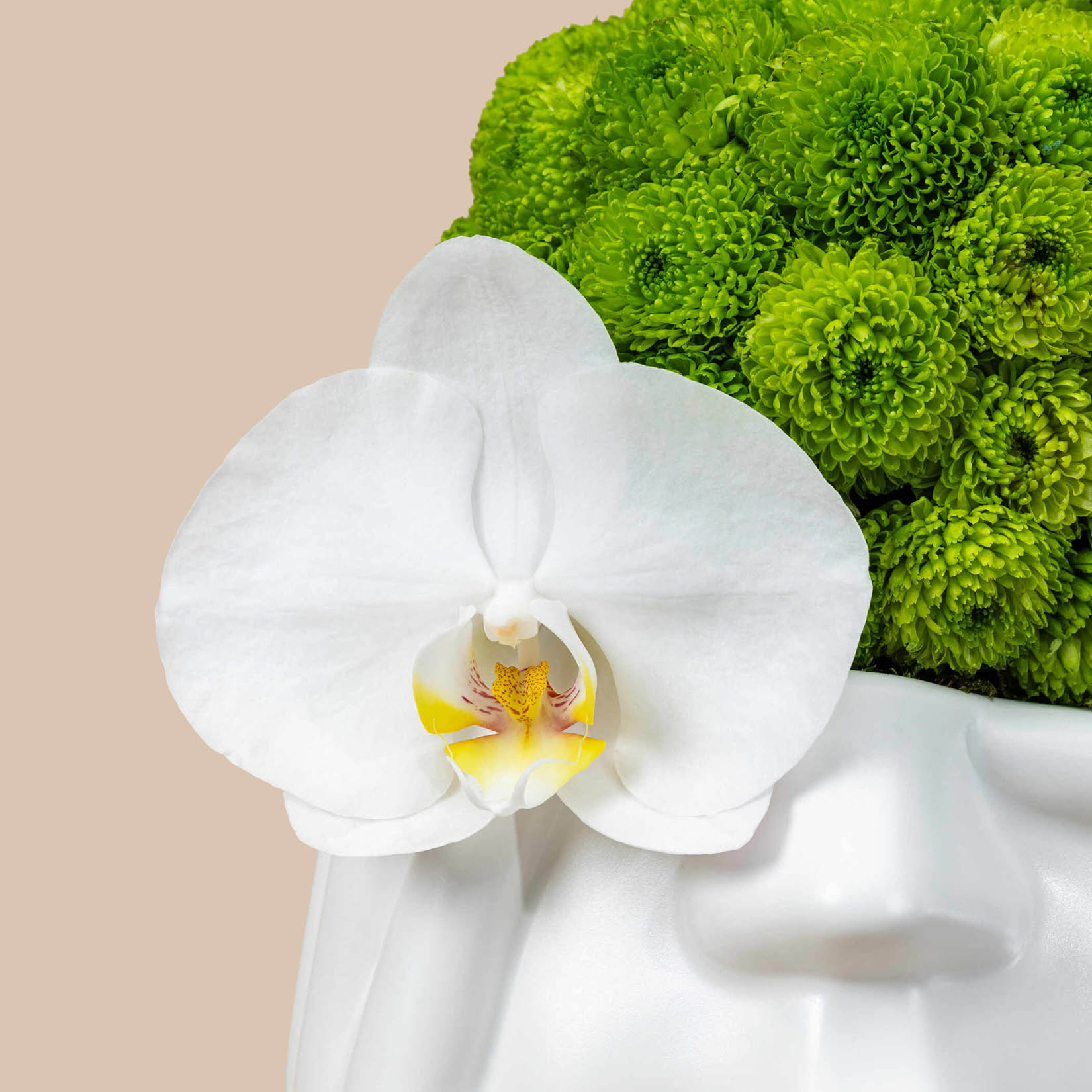 Simone Sculpture Vase Simone Sculpture Vase