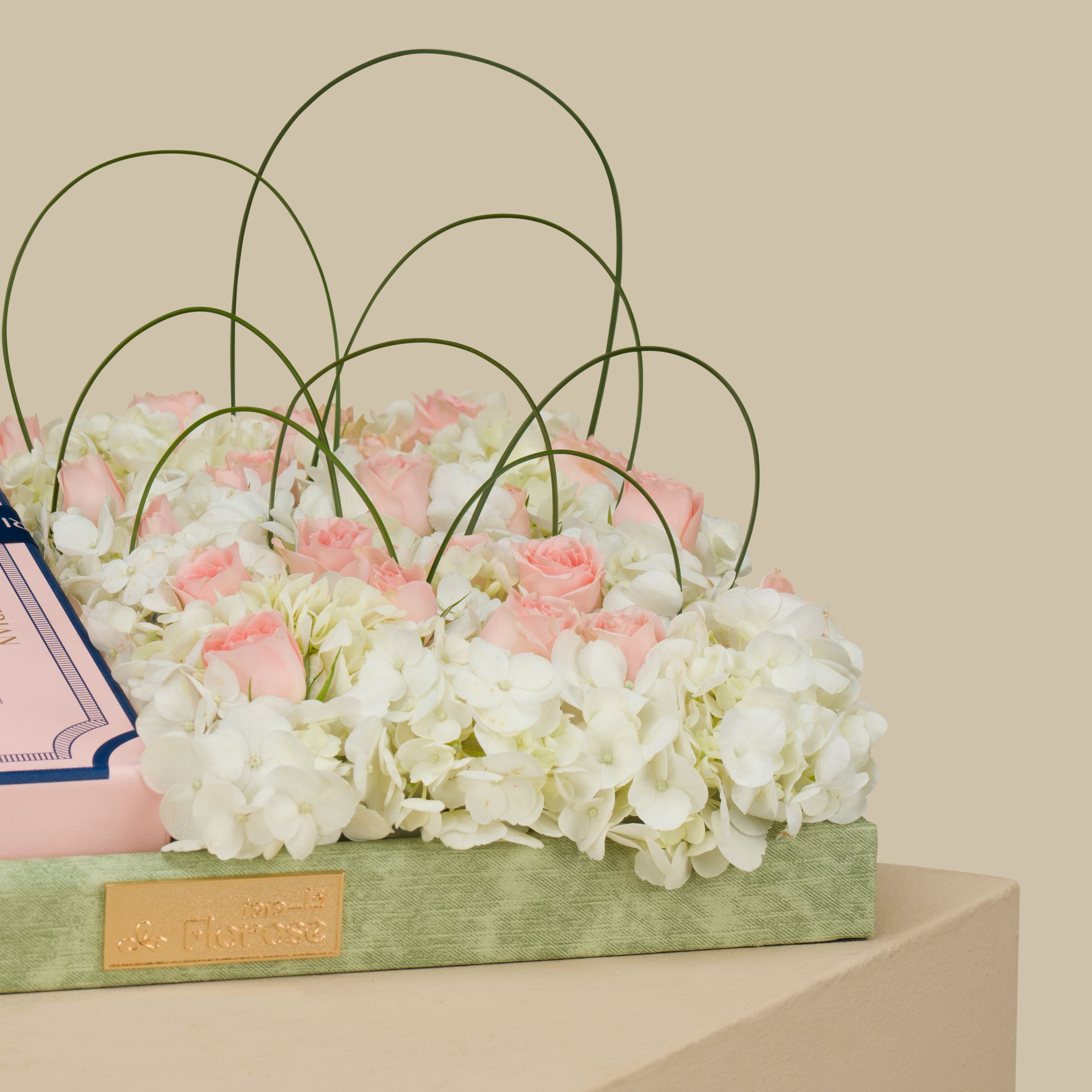Hanoverian Dulce Crepe Chocolate | Light Coloured Flowers Hanoverian Dulce Crepe Chocolate | Light Coloured Flowers