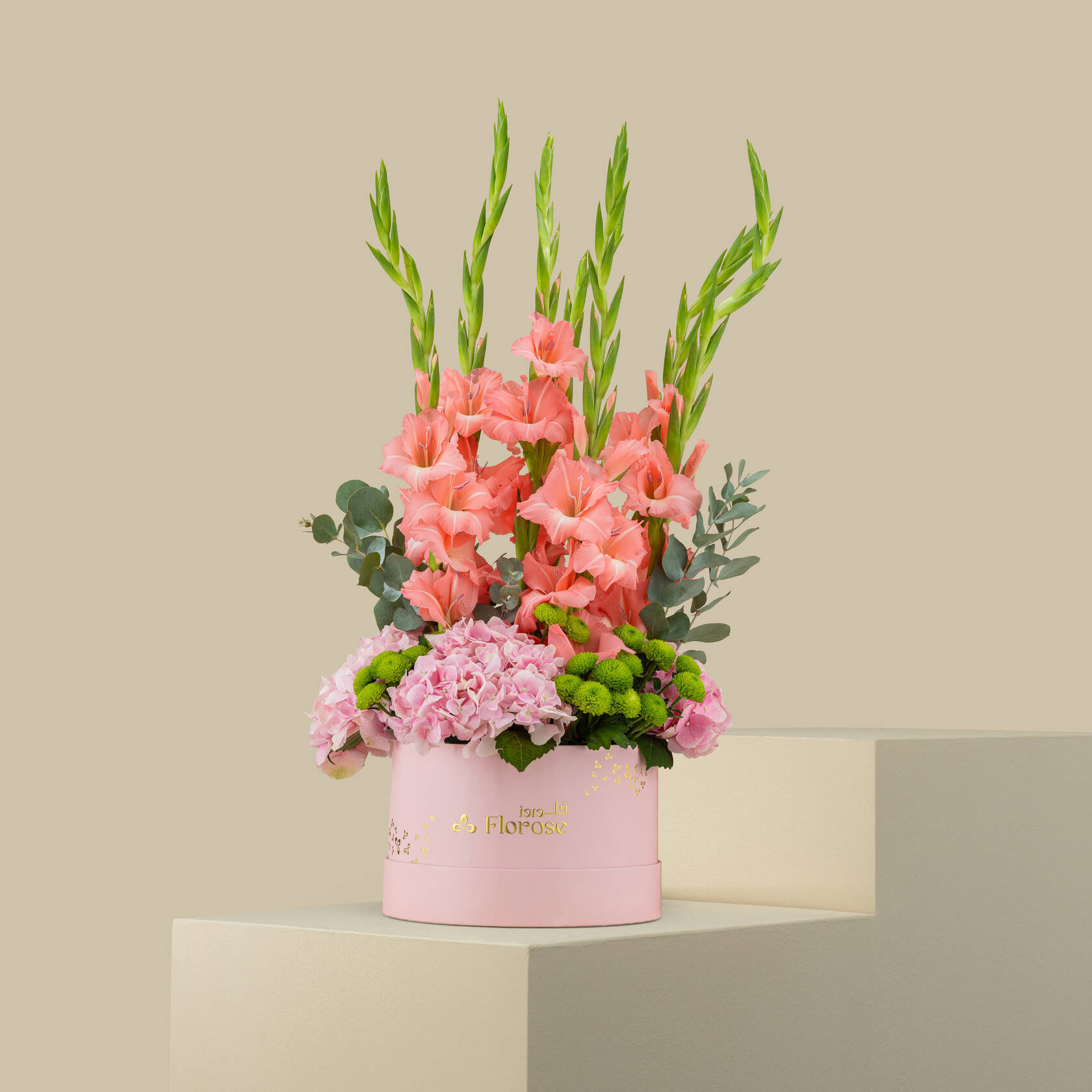 Tenderness Radiance Box Tenderness Radiance Box