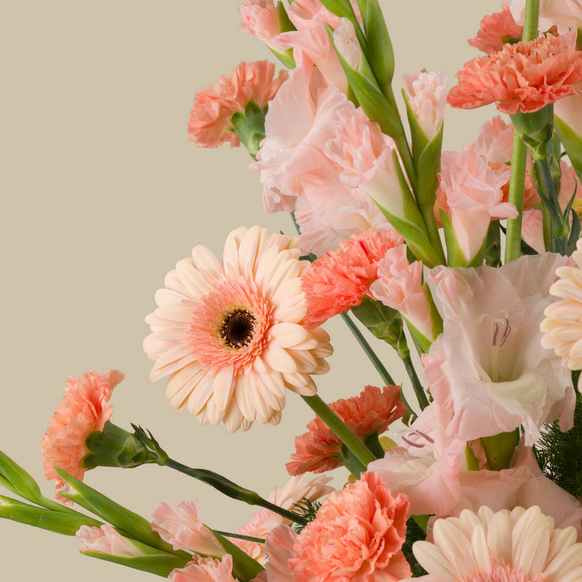 Petal Note Premium Vase Petal Note Premium Vase