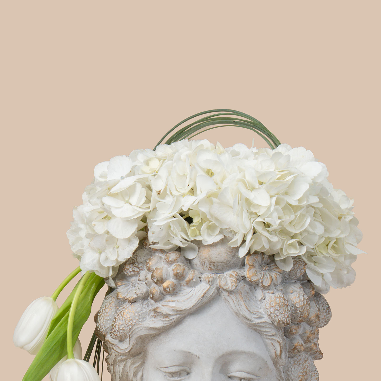 Hydrolip Sculpture Vase Hydrolip Sculpture Vase