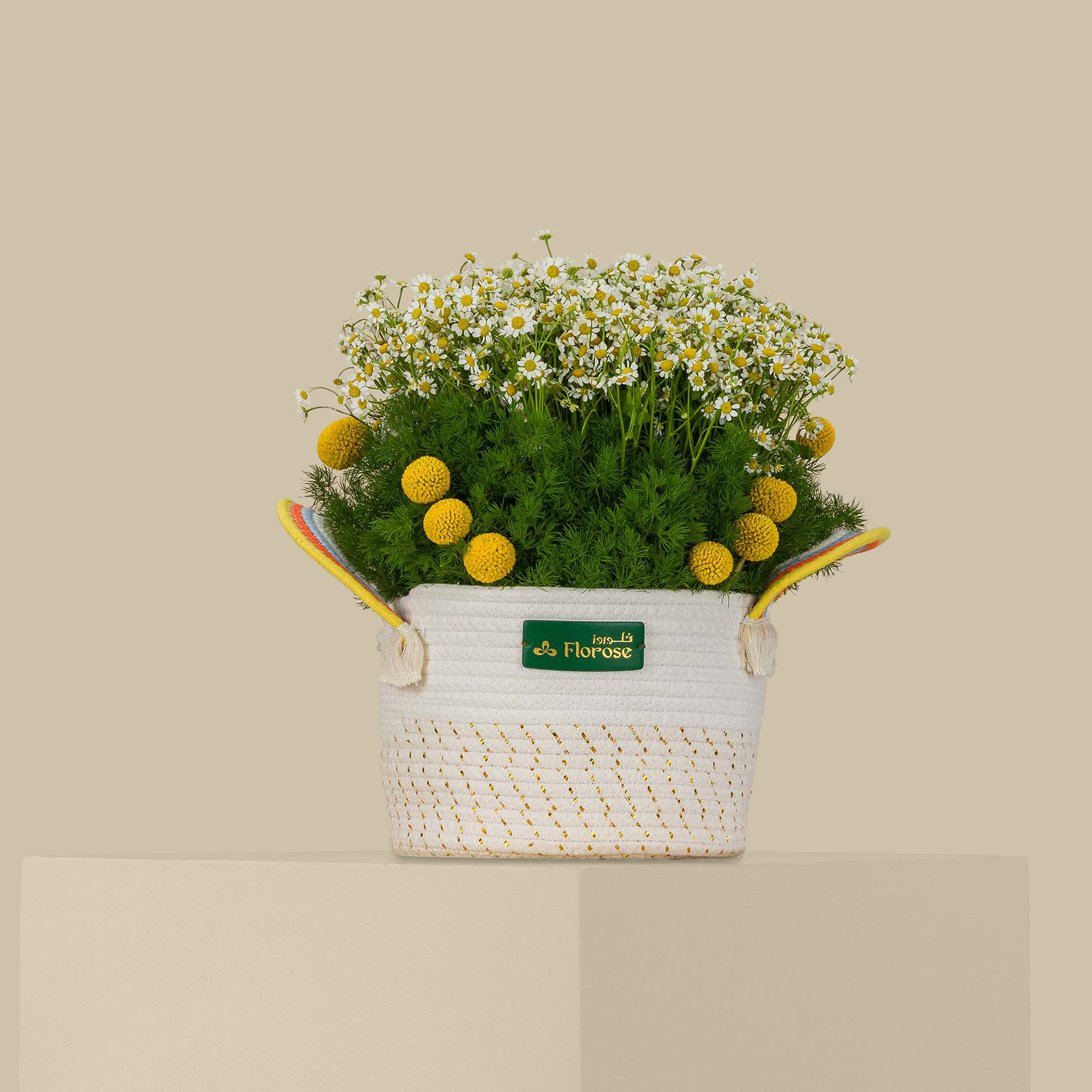Rising Sun Basket Rising Sun Basket