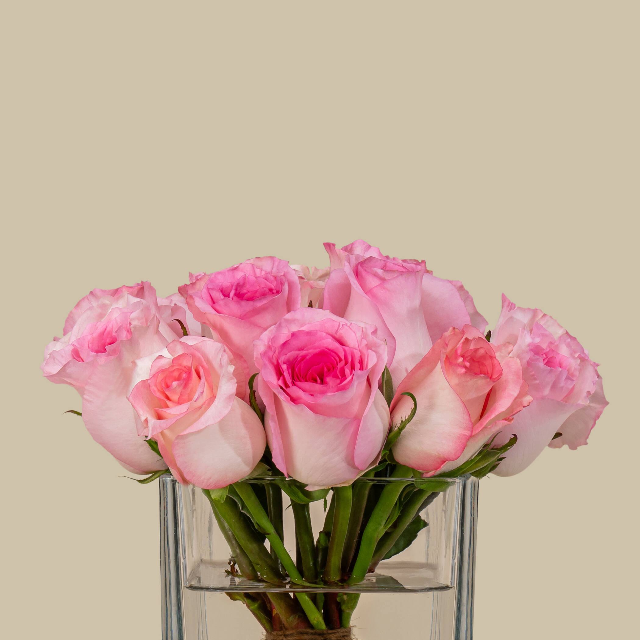 Elegant Rose Square Vase Pink | 15 Flowers Elegant Rose Square Vase Pink | 15 Flowers