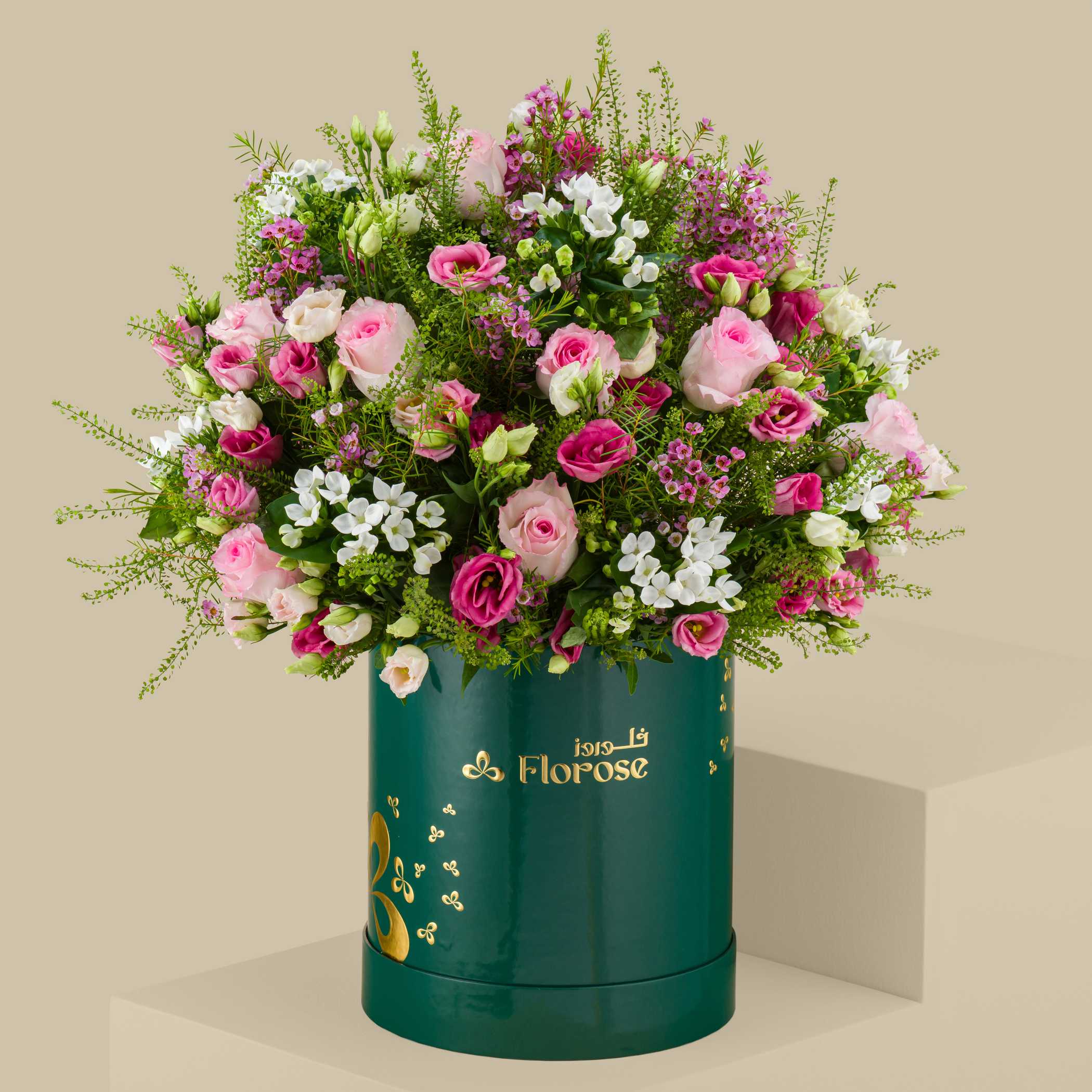 Elegance Box Elegance Box