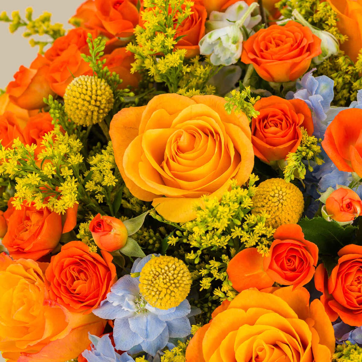 Joyful Roses Basket Joyful Roses Basket