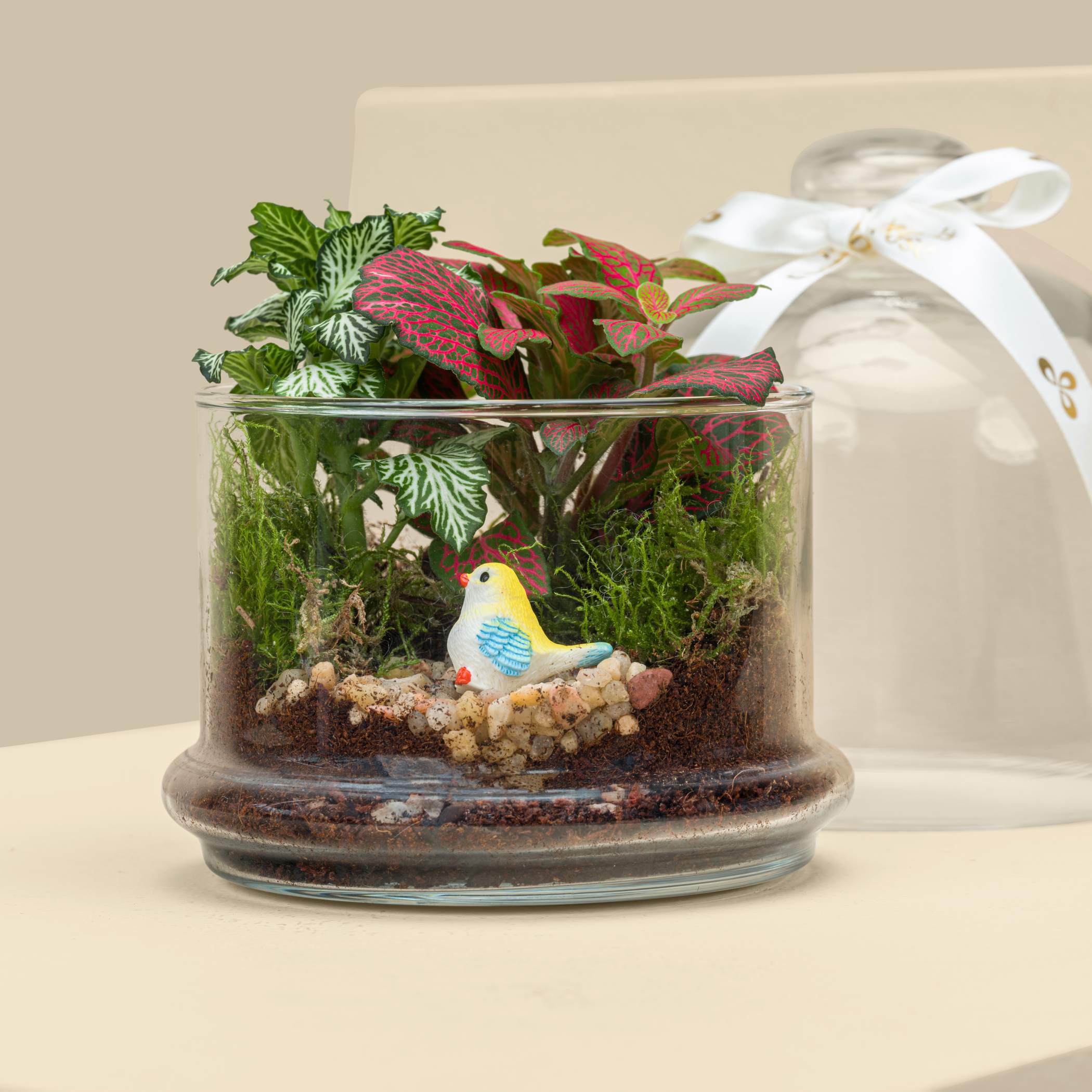 Terrarium Bird Garden Terrarium Bird Garden