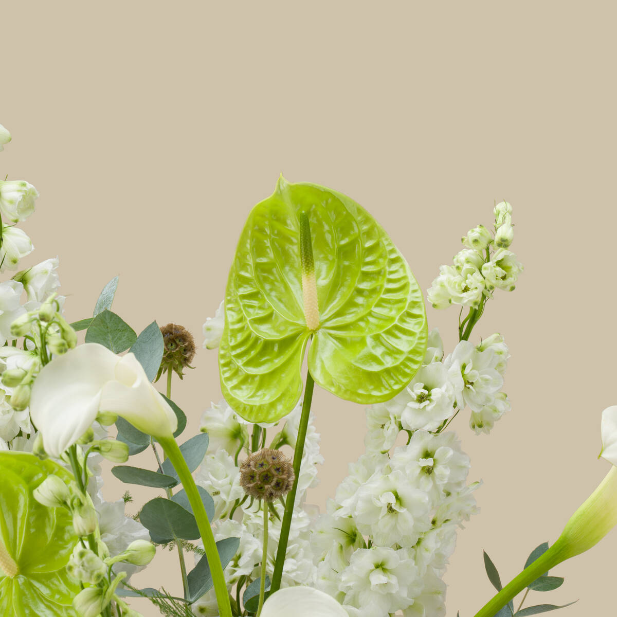Pearl Radiance Premium Vase Pearl Radiance Premium Vase