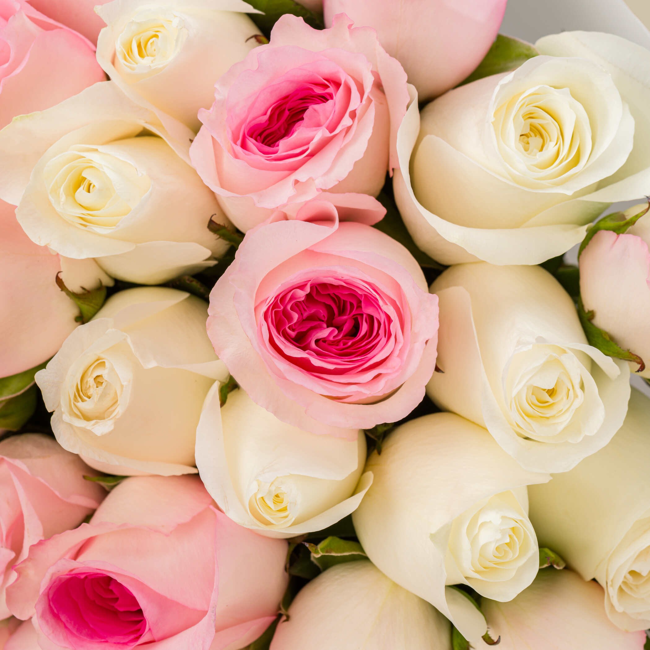 Dream Bouquet Dream Bouquet