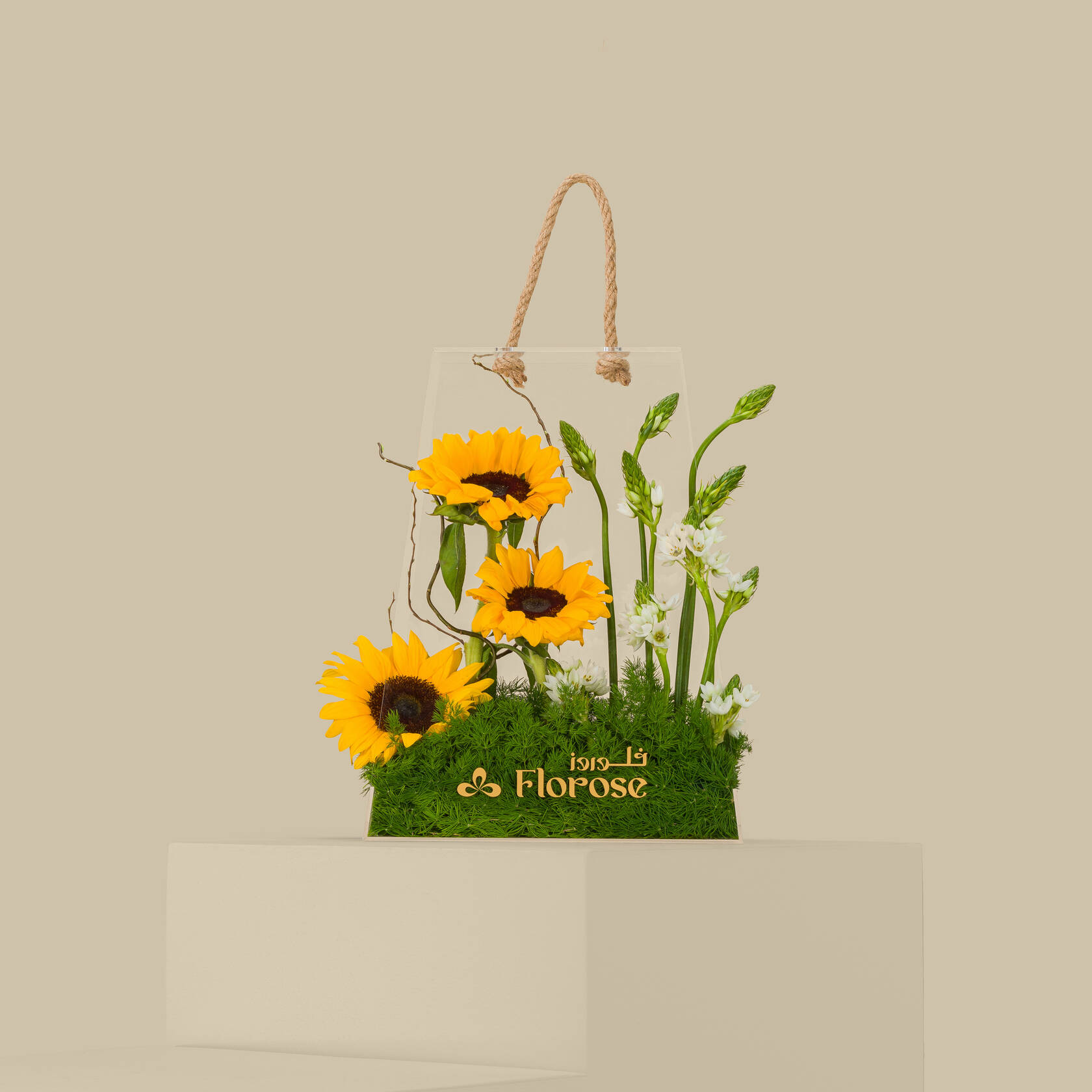 Acrylic Bag Sunshine Acrylic Bag Sunshine