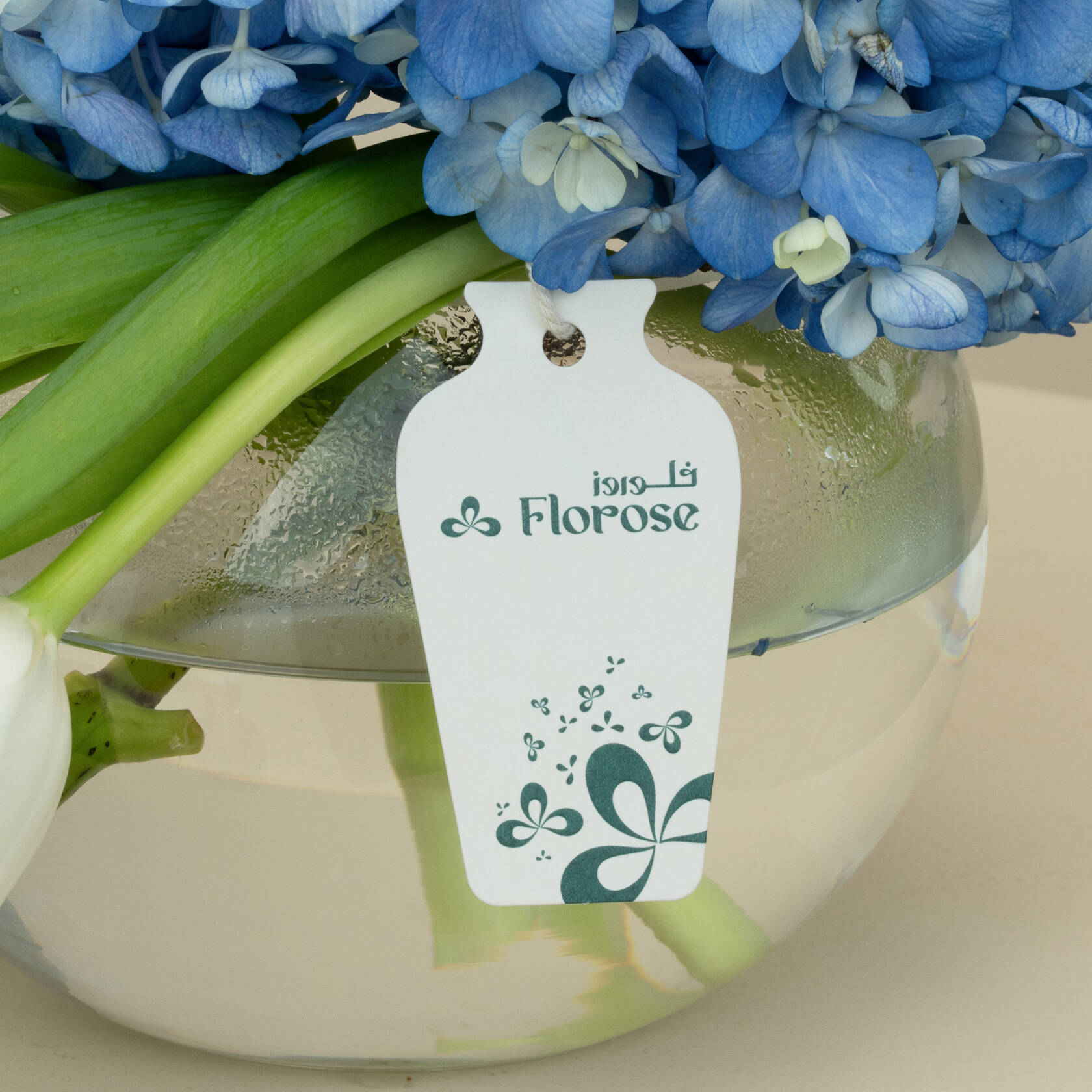 Xerjoff | More Than Words EDP | Sea Breeze Bouquet Xerjoff | More Than Words EDP | Sea Breeze Bouquet