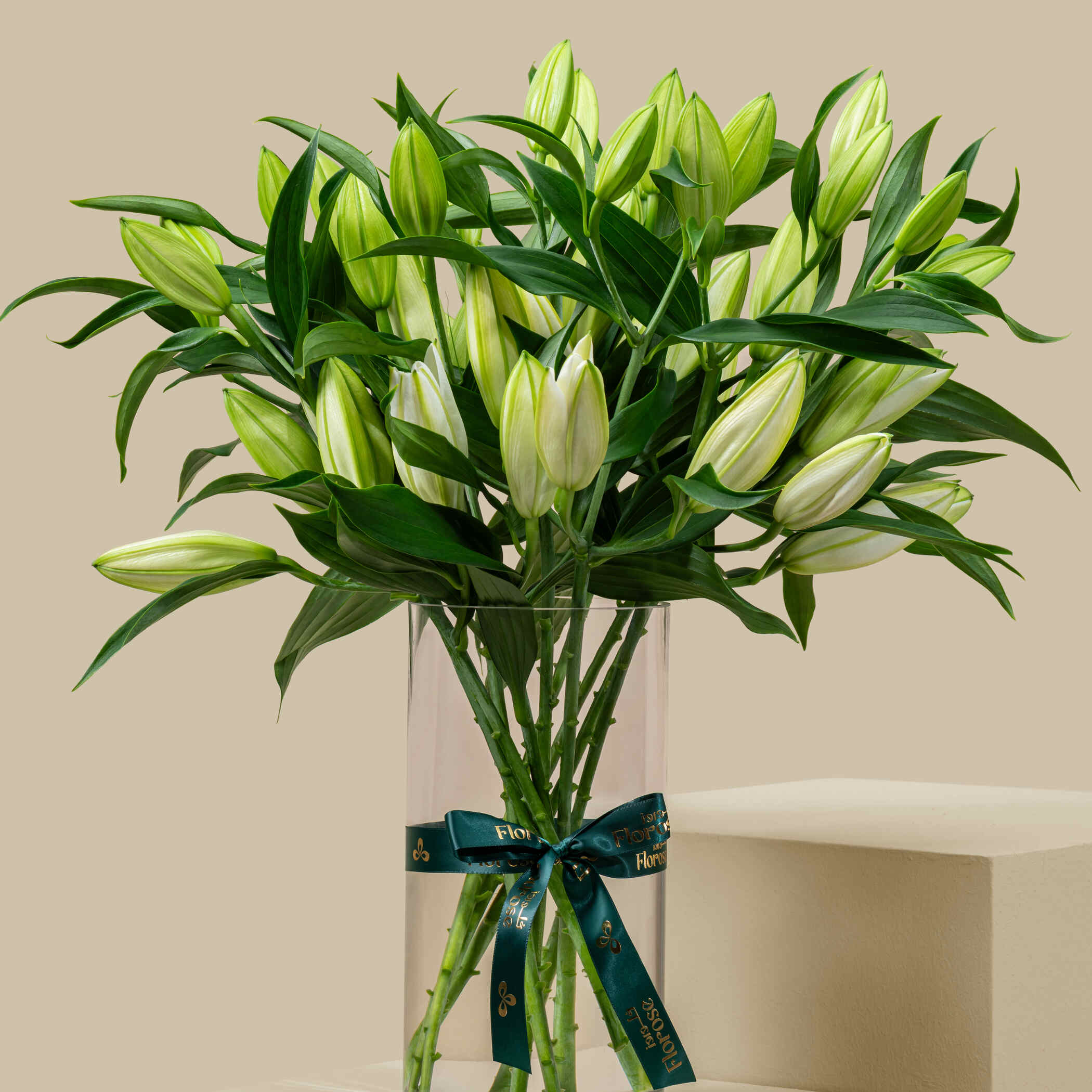 Pure White Lily Vase Pure White Lily Vase
