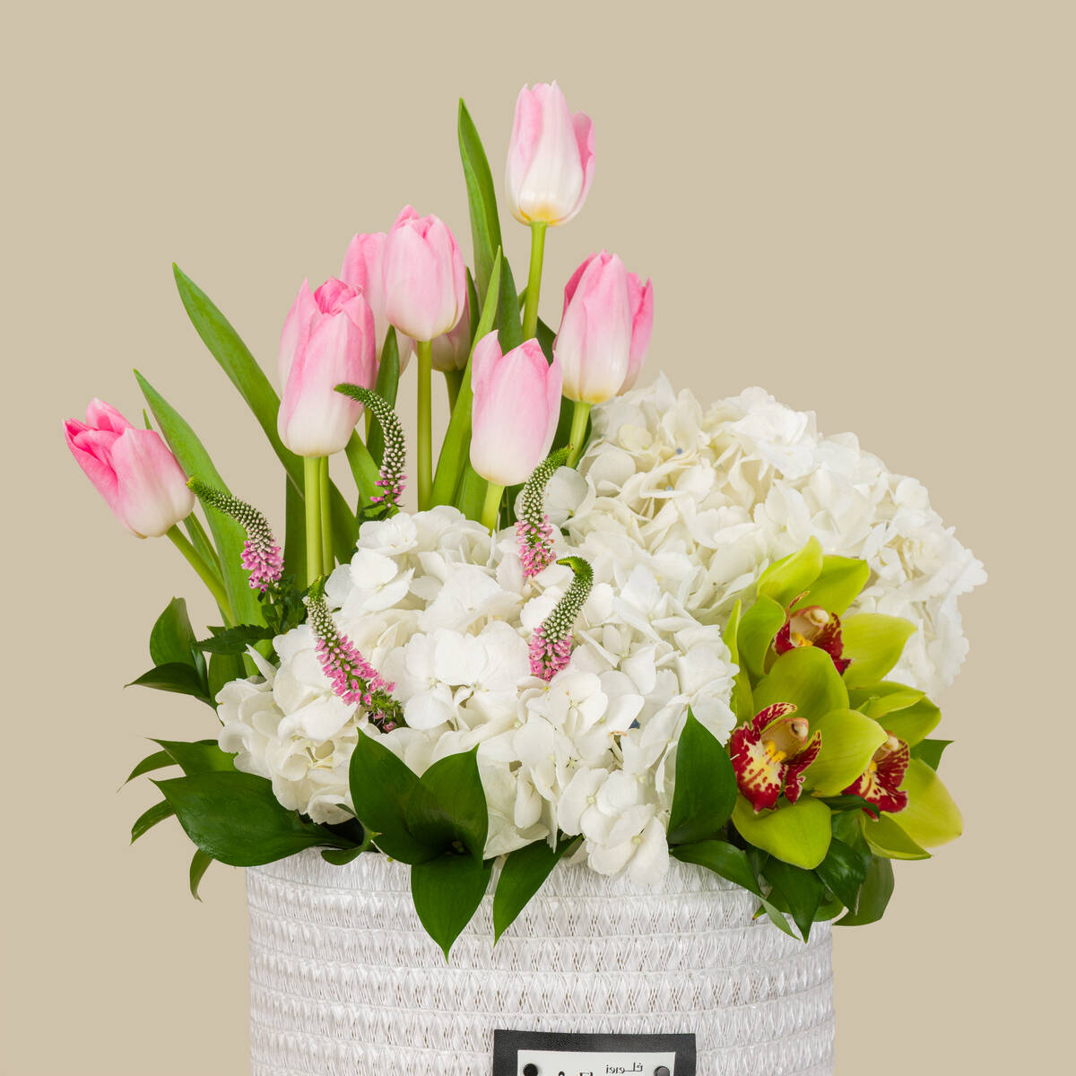 سلة الانتعاش سلة الانتعاش