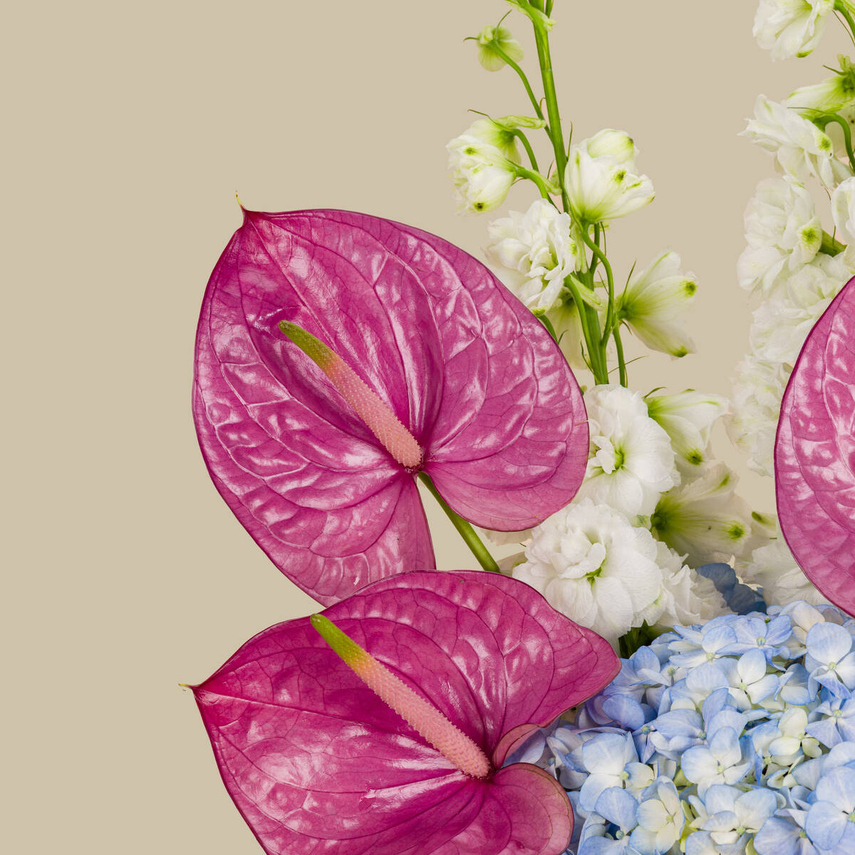 سلة أزهار السماء سلة أزهار السماء