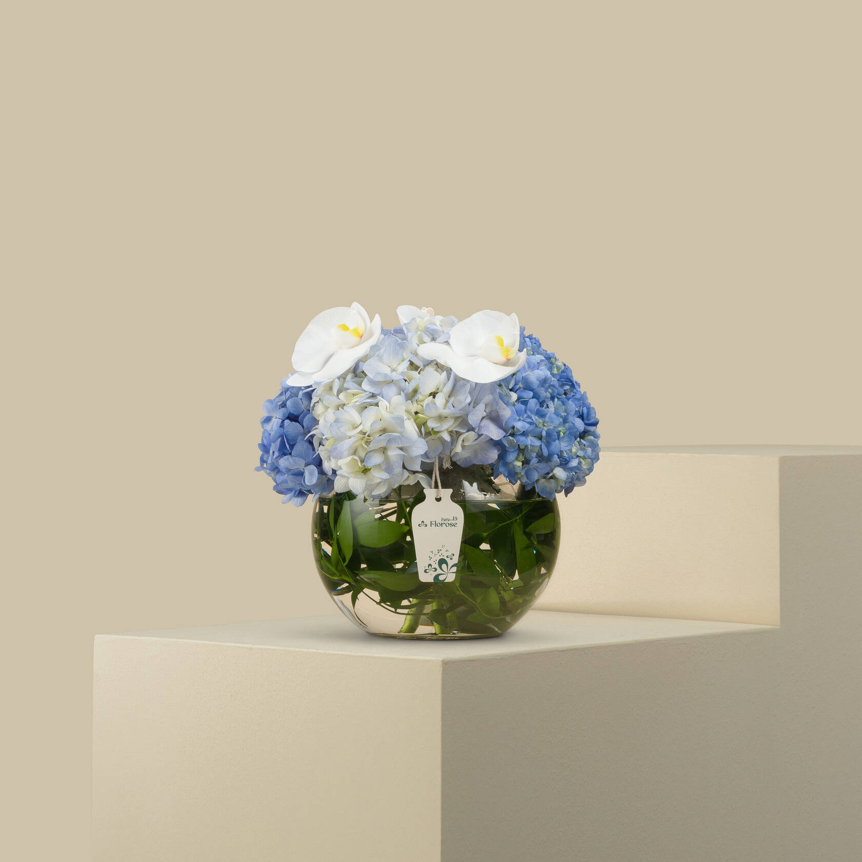 Sea Spectrum Round Vase Sea Spectrum Round Vase