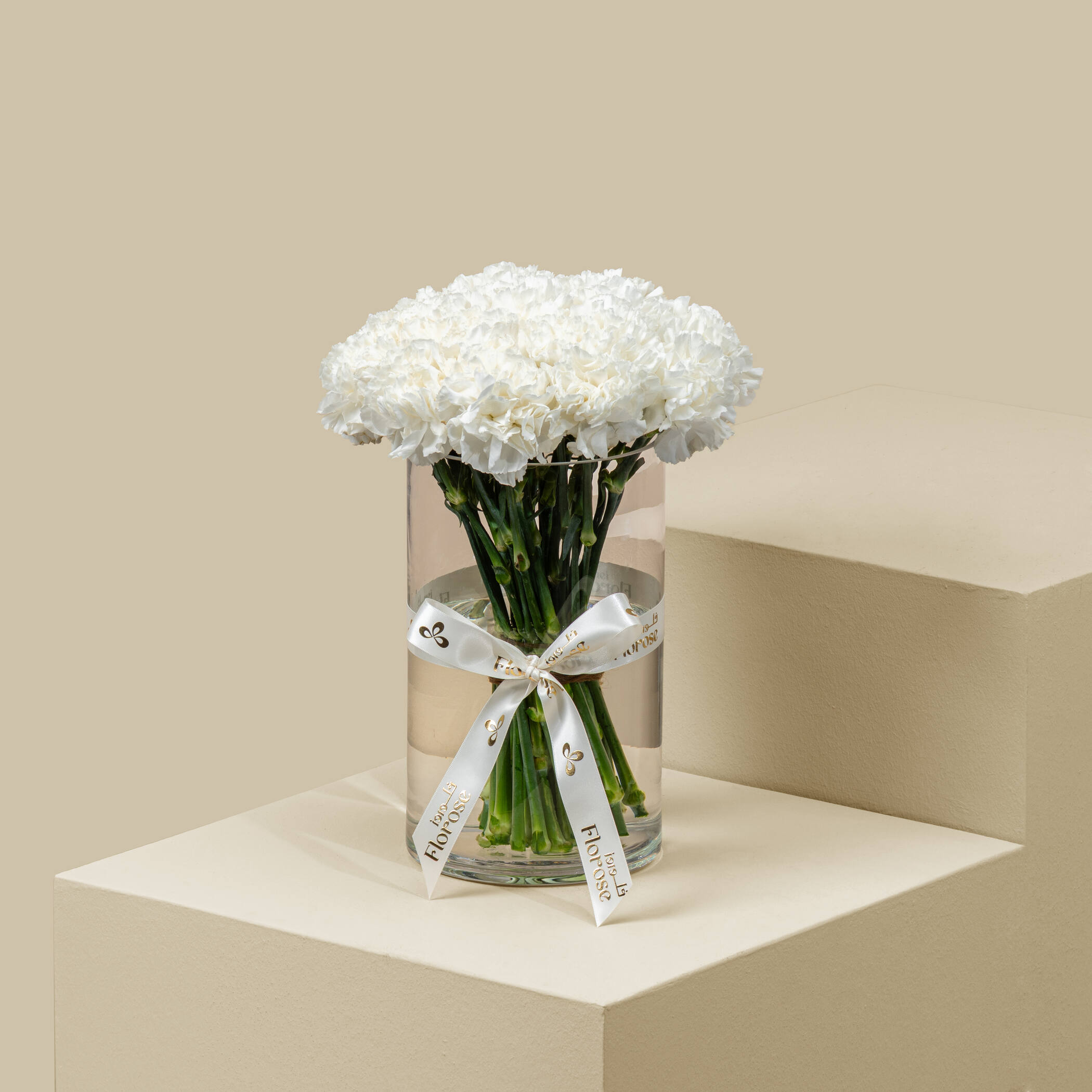 Carnation White Vase Carnation White Vase