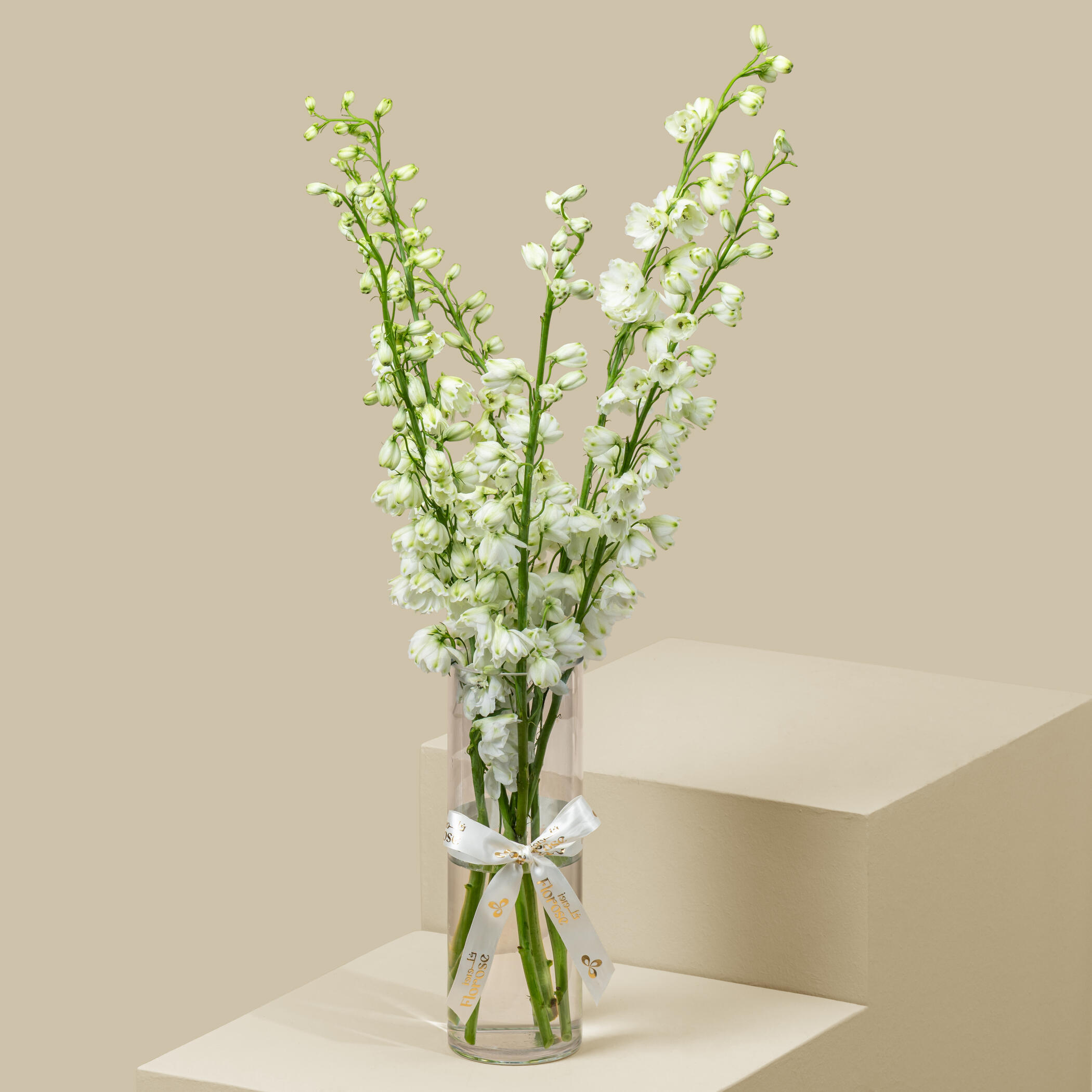White Delphinium Vase White Delphinium Vase