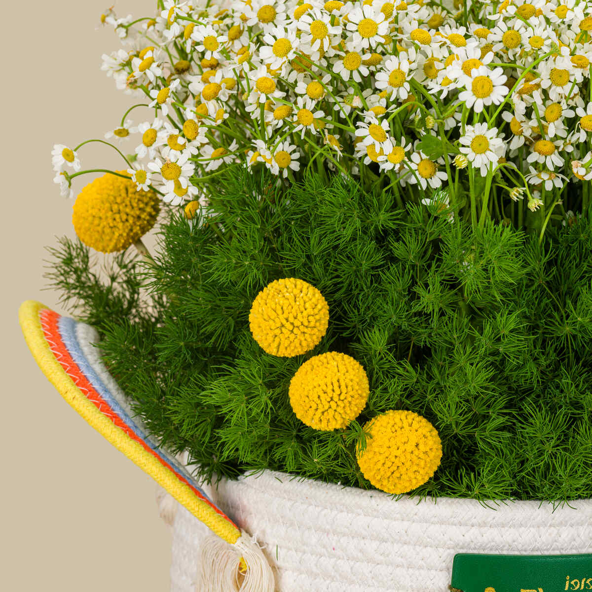 Rising Sun Basket Rising Sun Basket