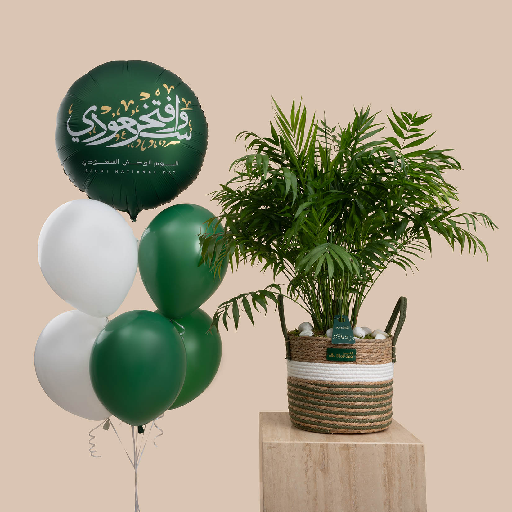 Chamaedorea Plant Basket | Saudi National Day Balloon Set Chamaedorea Plant Basket | Saudi National Day Balloon Set