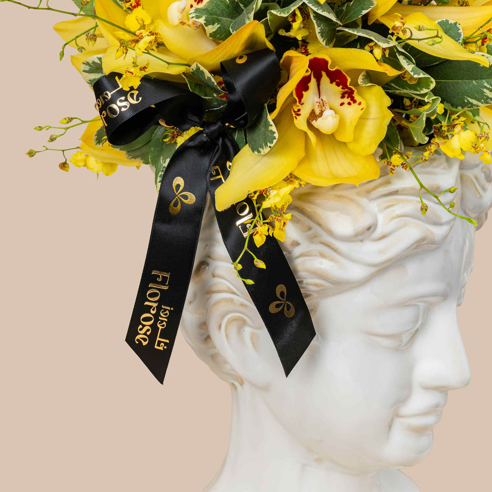 شمس تحفة مزهرية شمس تحفة مزهرية