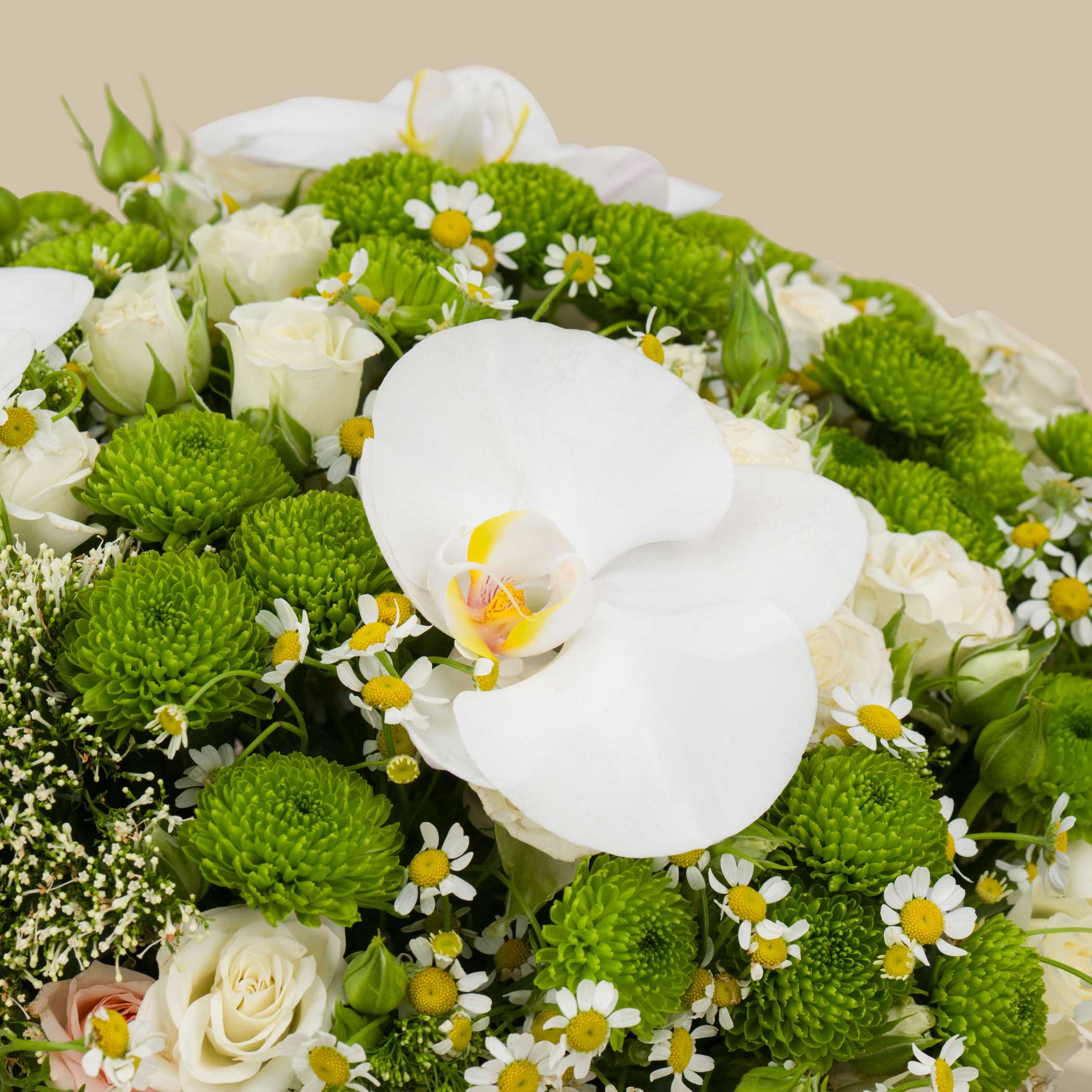 Light Of Nature Round Vase Light Of Nature Round Vase